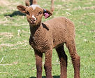 SI2A9856_edited.jpg