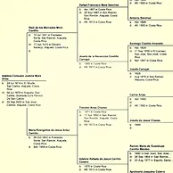 sample family history books