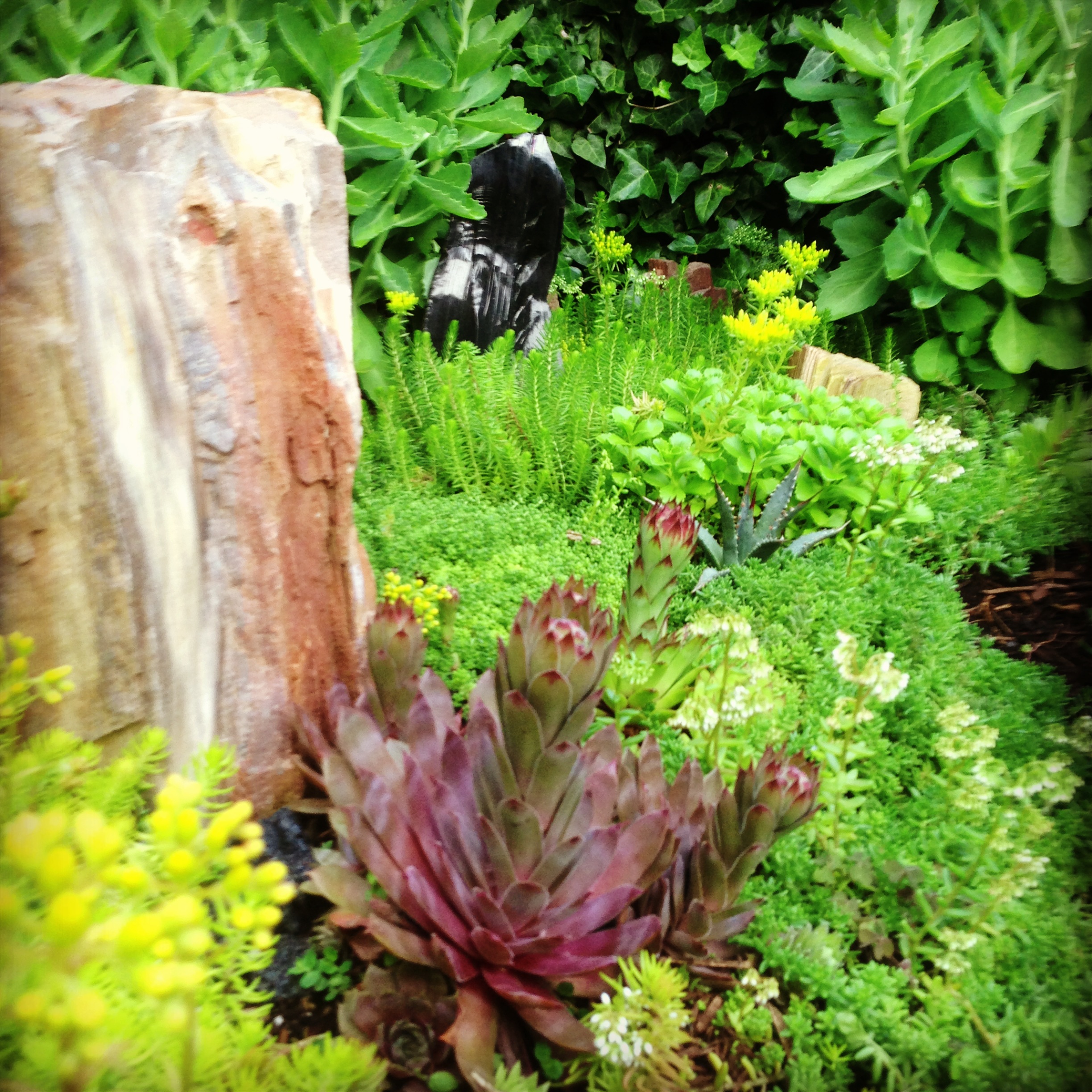 How to Make a Rock Garden in a Trough How to Make a Rock Garden in a Trough