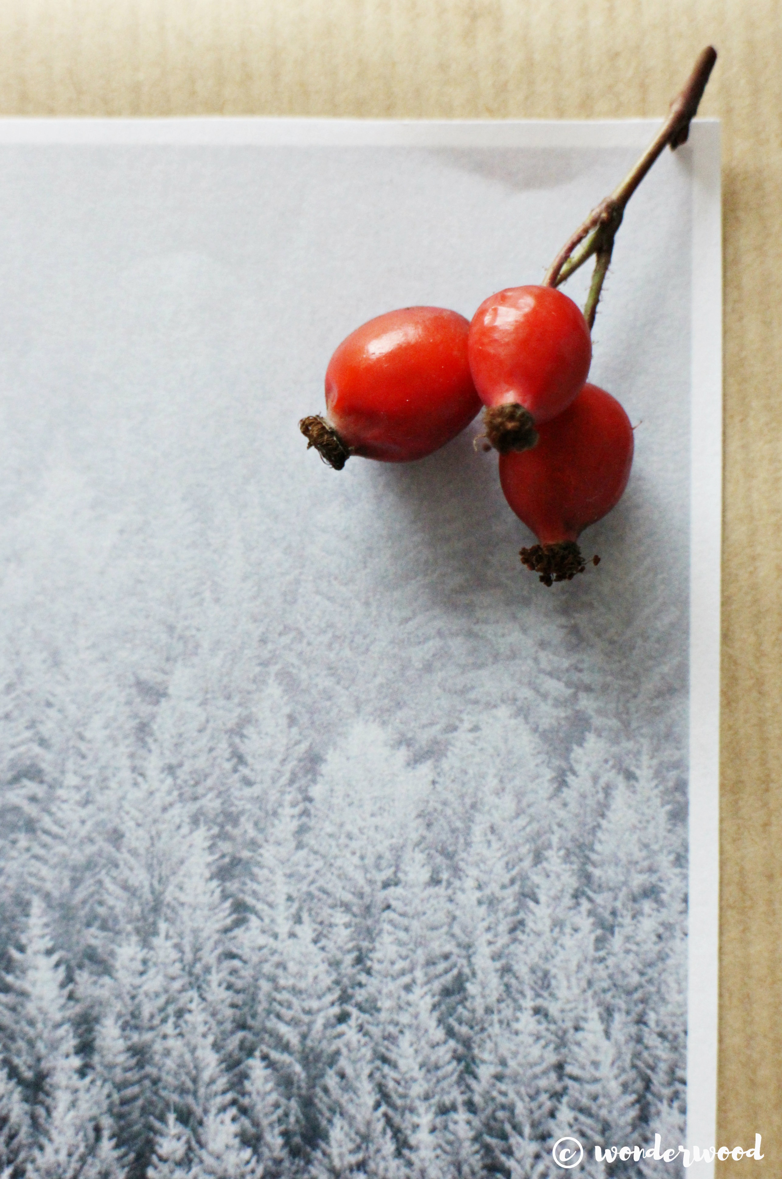 diy innpakking med foto-dekor // diy photo gift wrapping