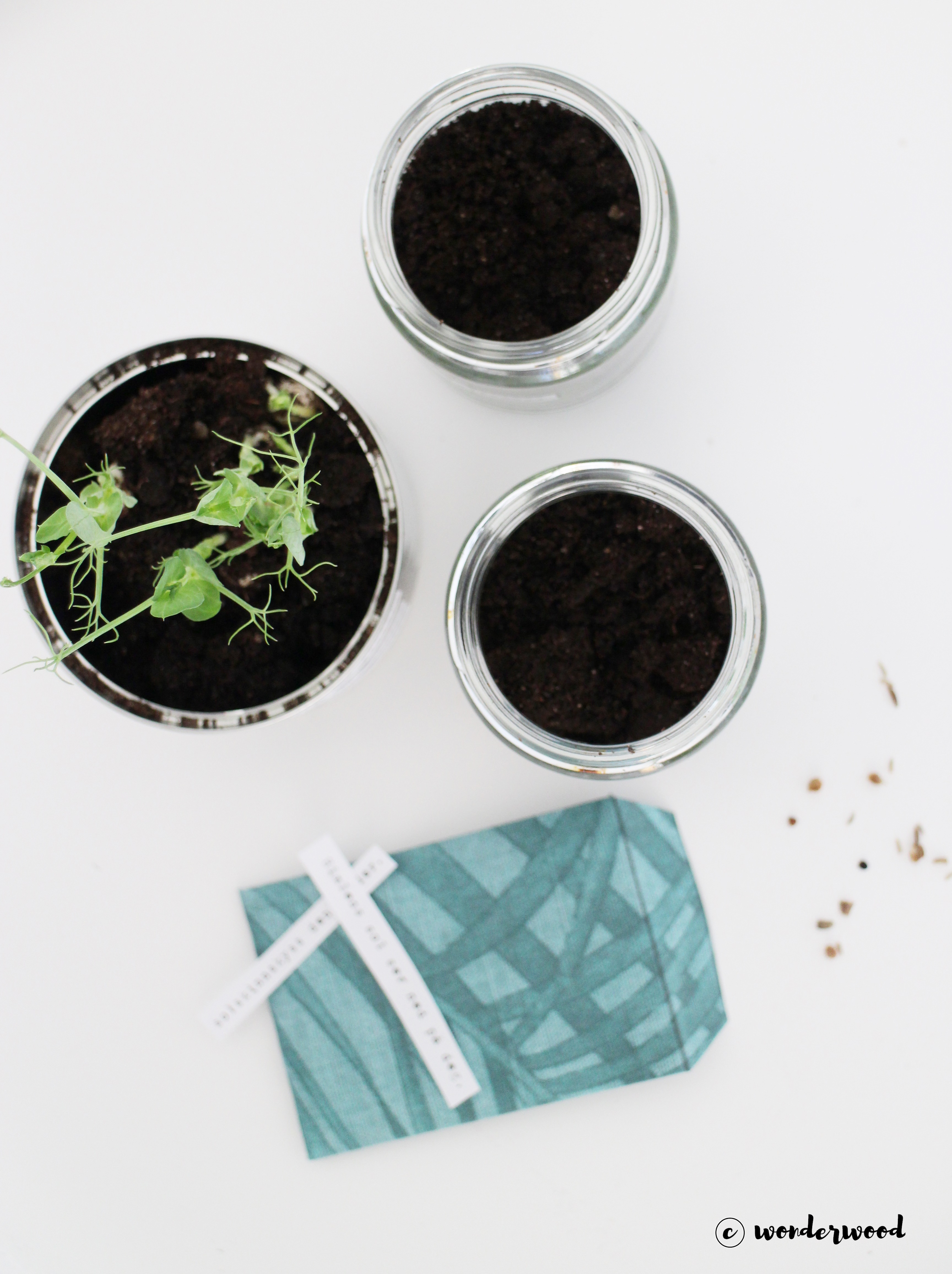 diy: 3 måter å gjenbruke glass og metall til stilige urtepotter // 3 ways to upcycle jars and cans to chic herb planters