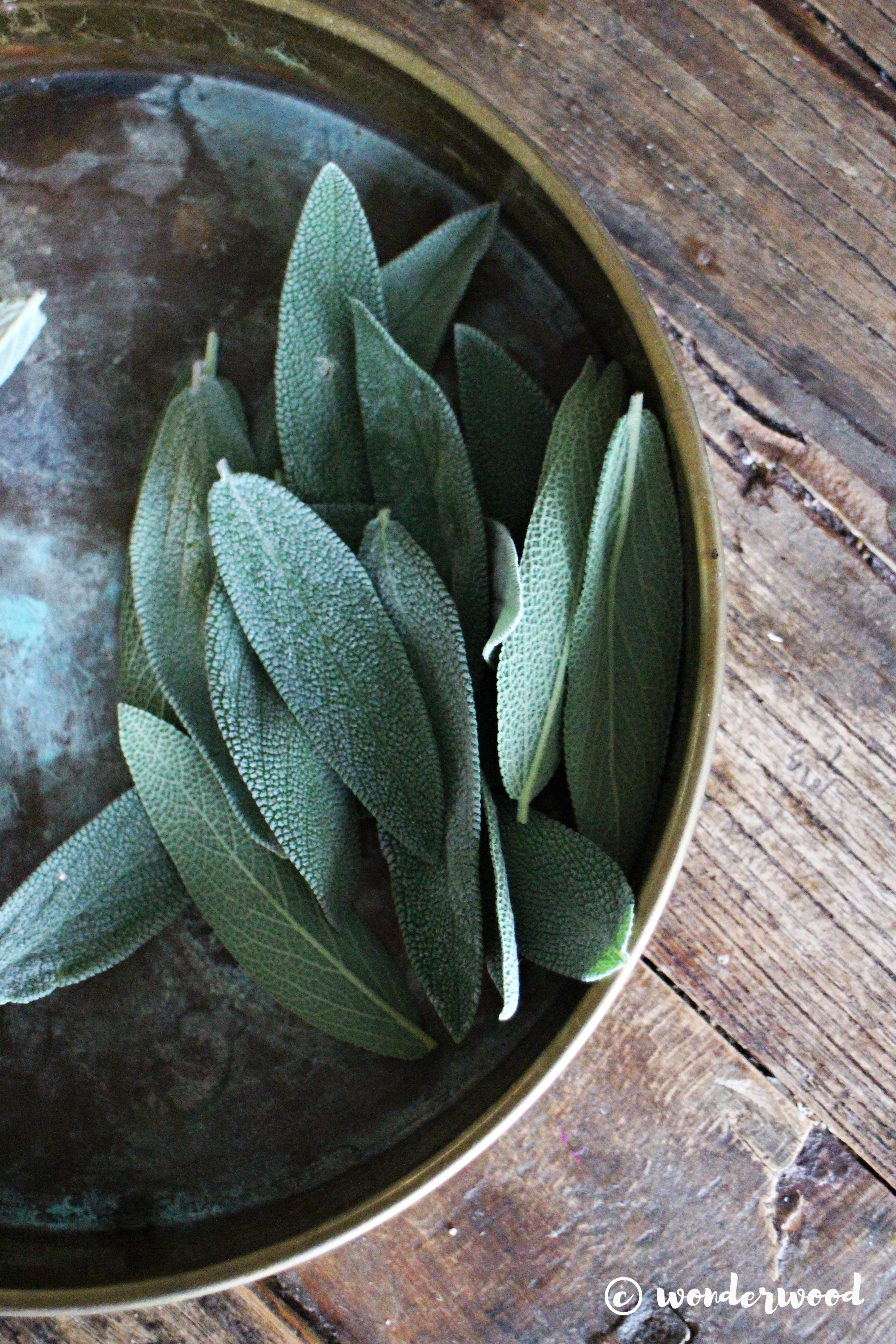 diy salvie mandala // diy sage mandala