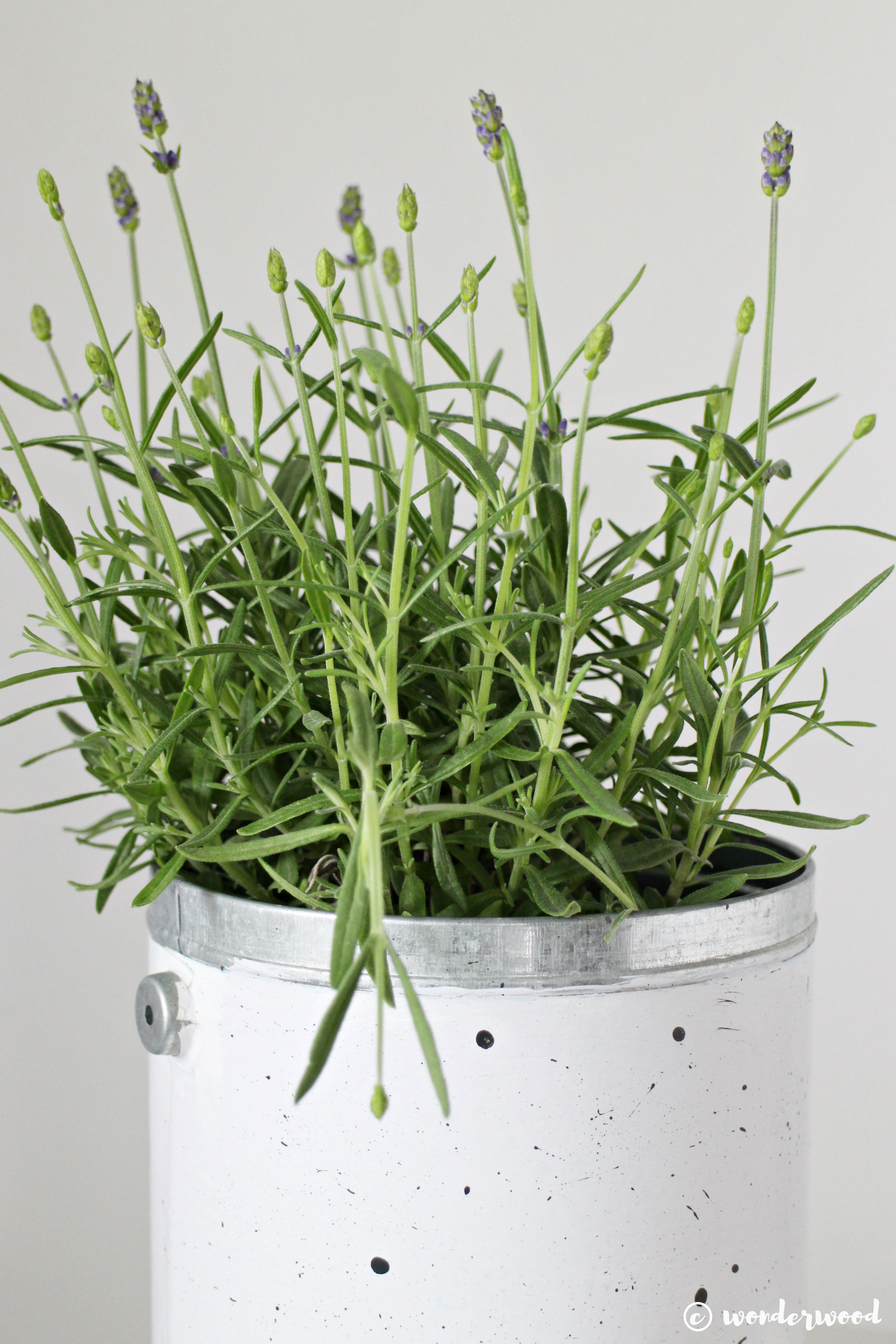 diy speckled pot