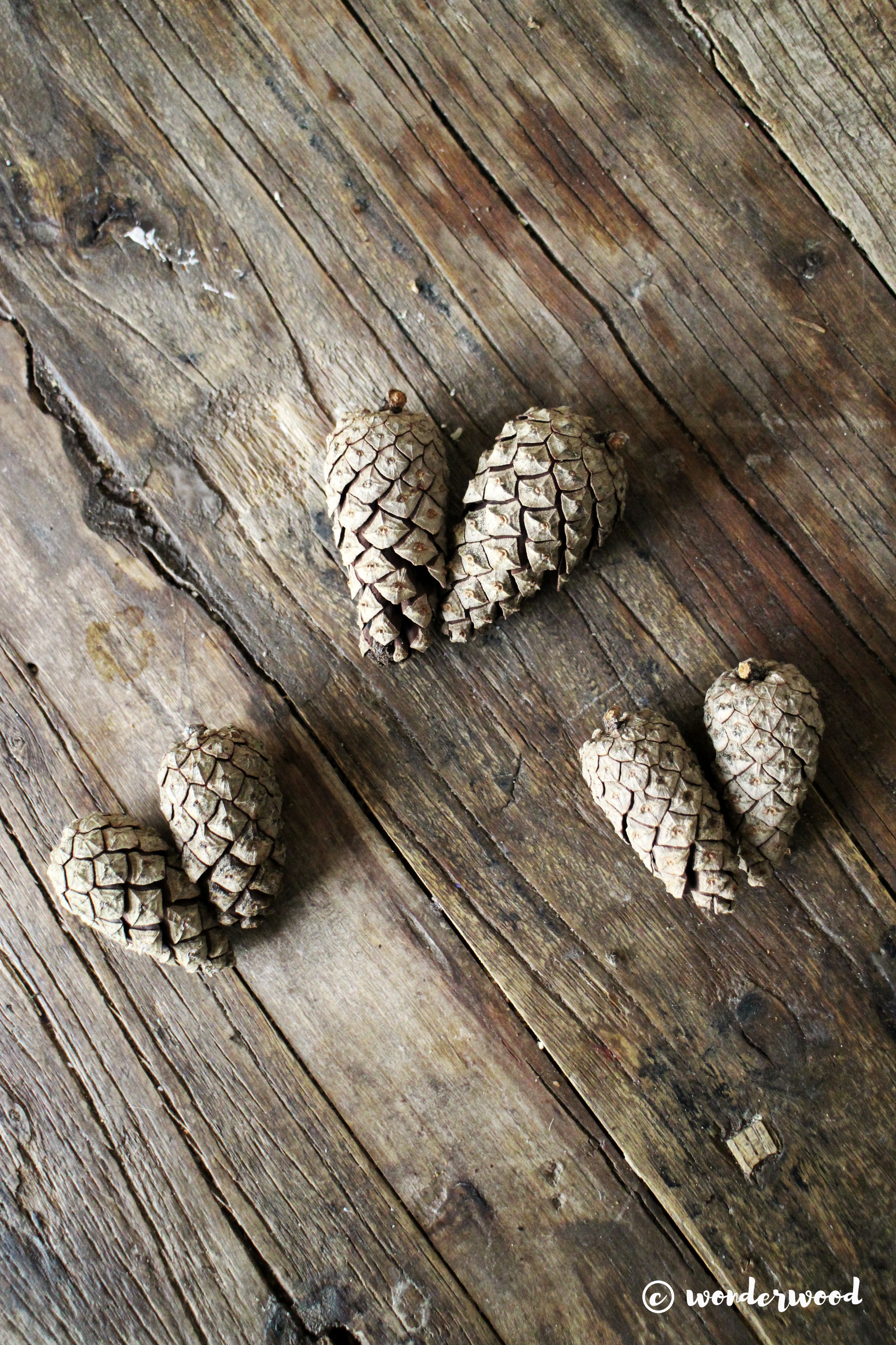 diy konglehjerter // diy pinecone hearts
