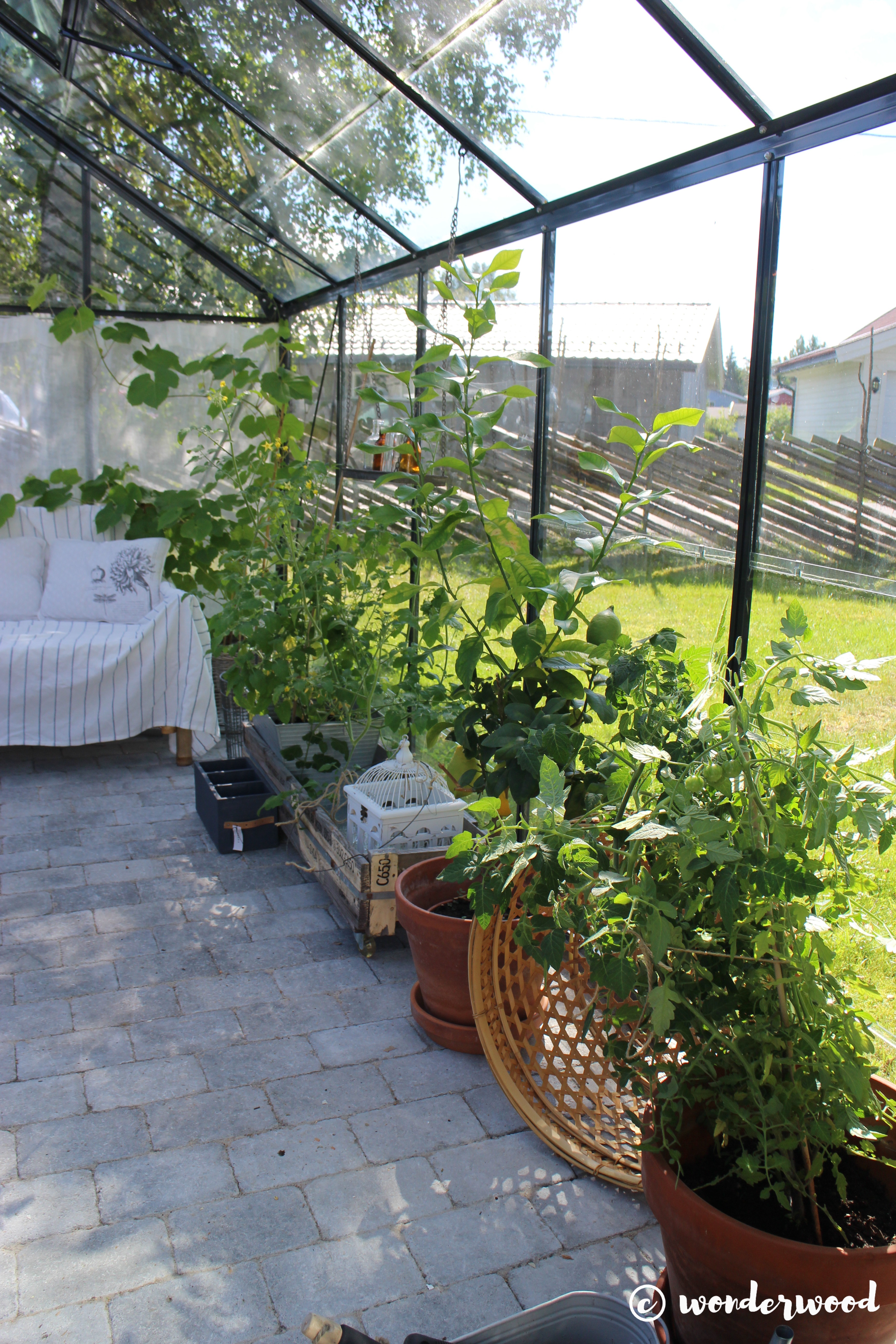 Drivhuset // Greenery