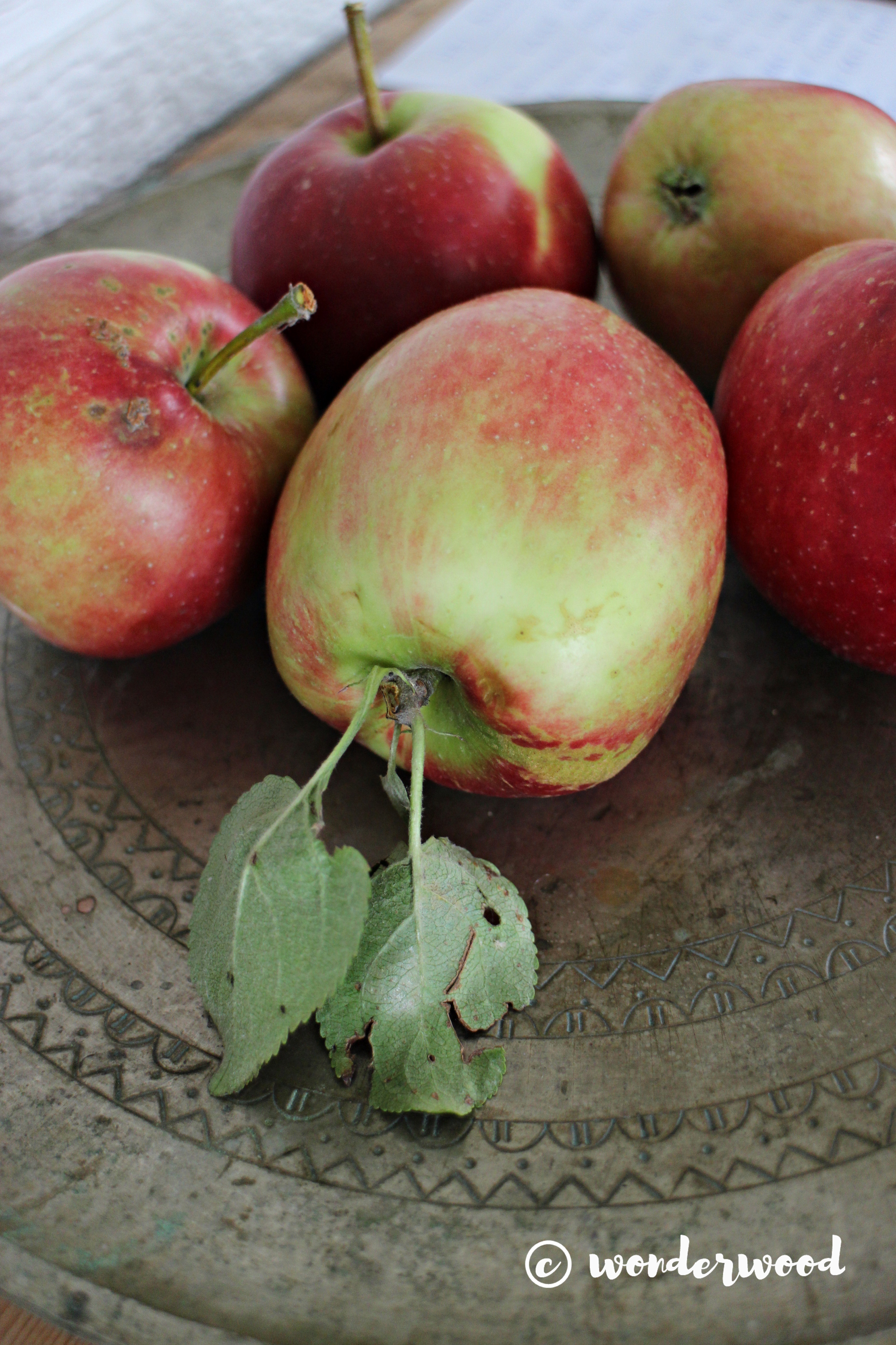 oppskrift eplemos // recipe apple jam
