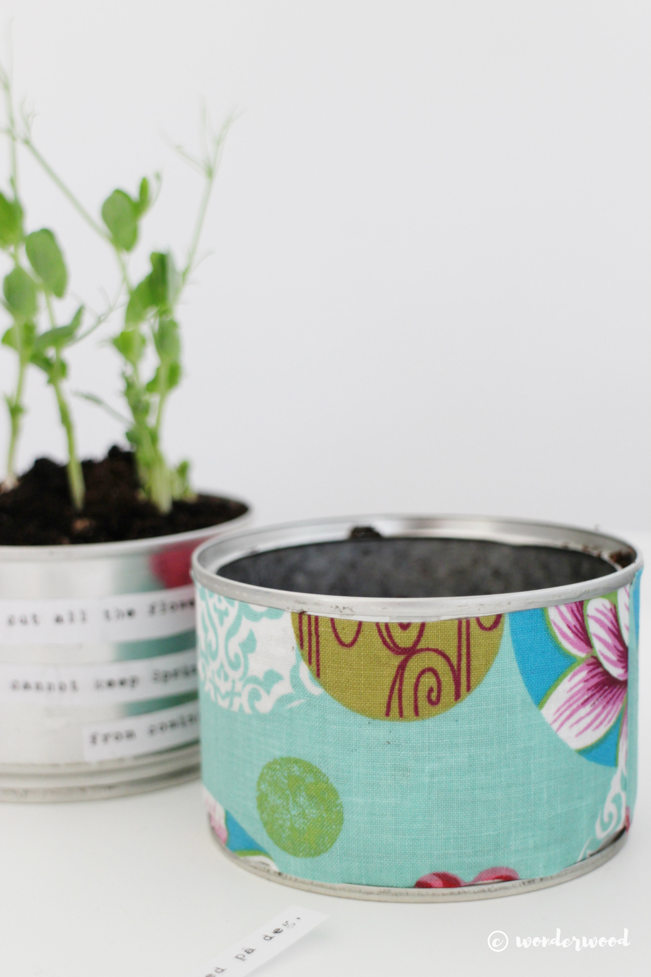 diy: 3 måter å gjenbruke glass og metall til stilige urtepotter // 3 ways to upcycle jars and cans to chic herb planters