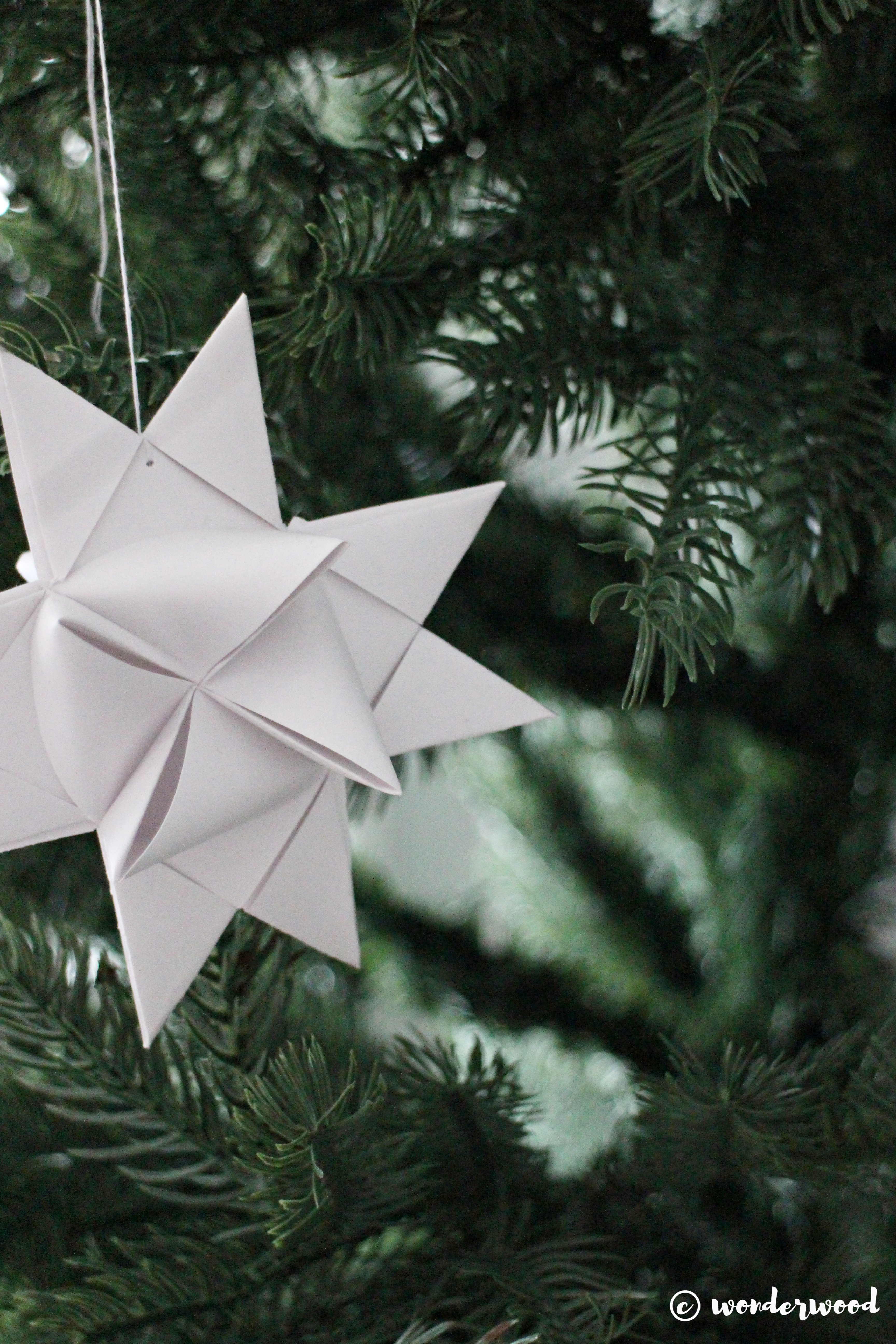 Romjul // Christmas