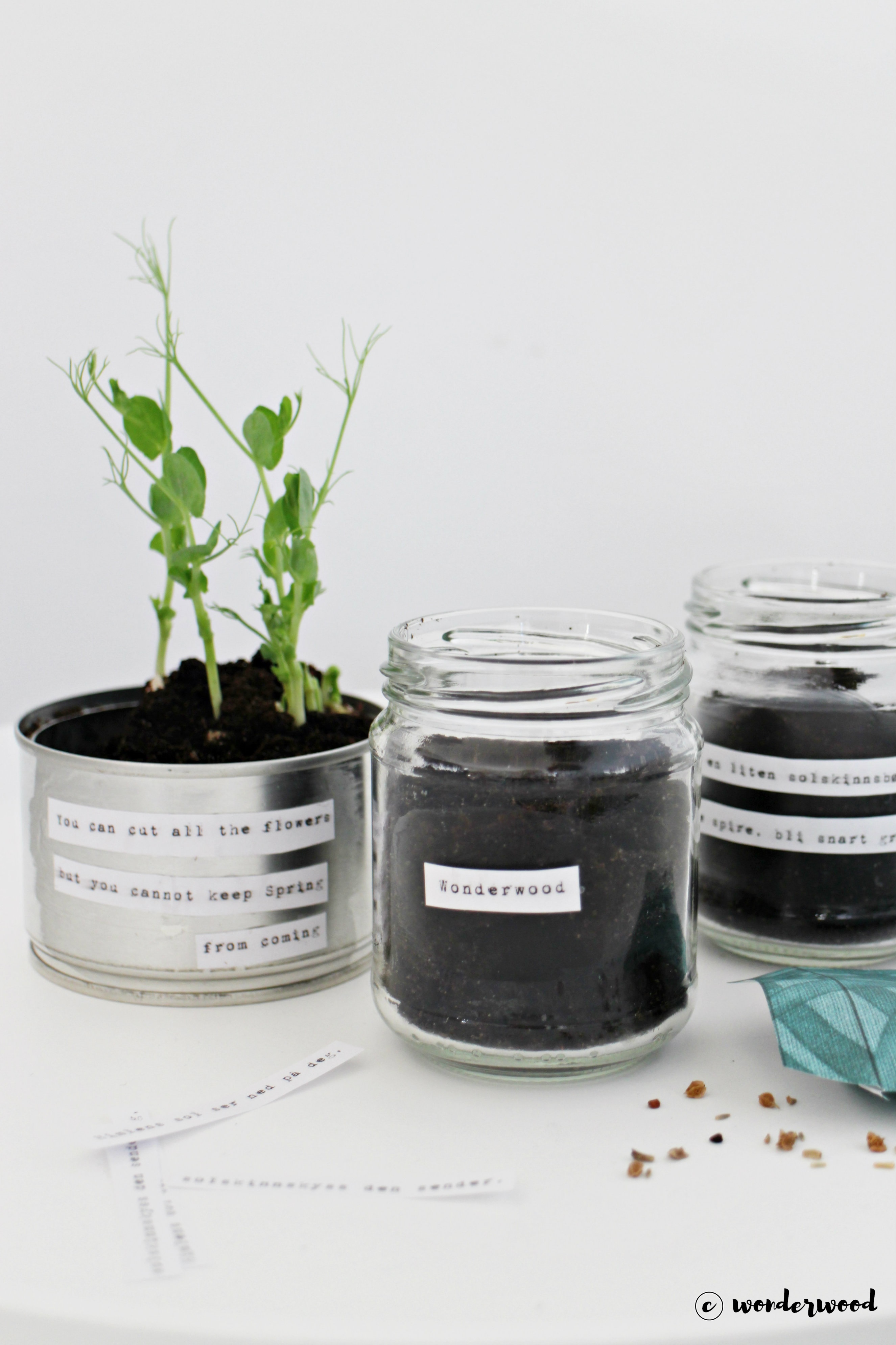 diy: 3 måter å gjenbruke glass og metall til stilige urtepotter // 3 ways to upcycle jars and cans to chic herb planters