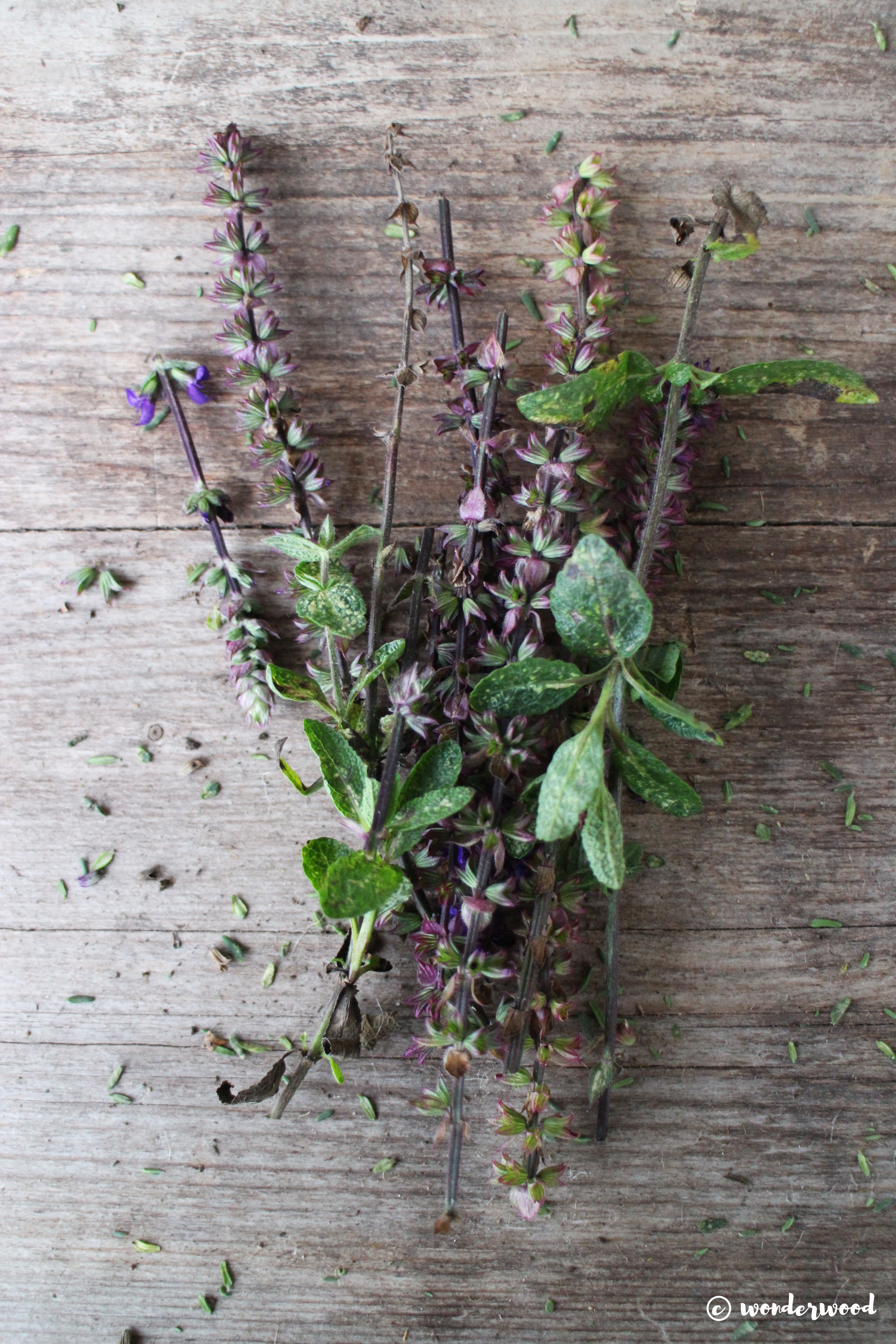diy naturlig røkelse // diy smudge sticks