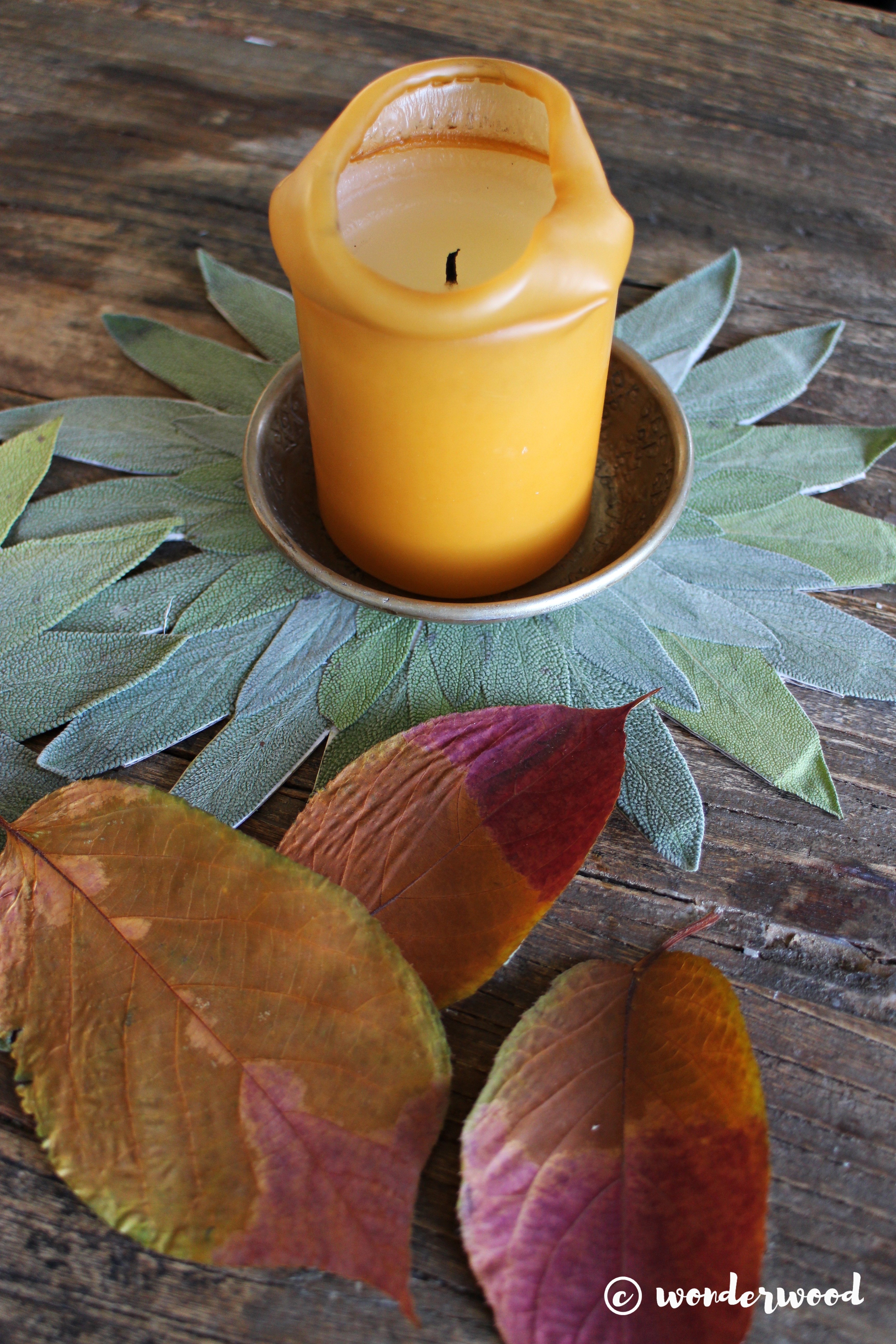 diy salvie mandala // diy sage mandala