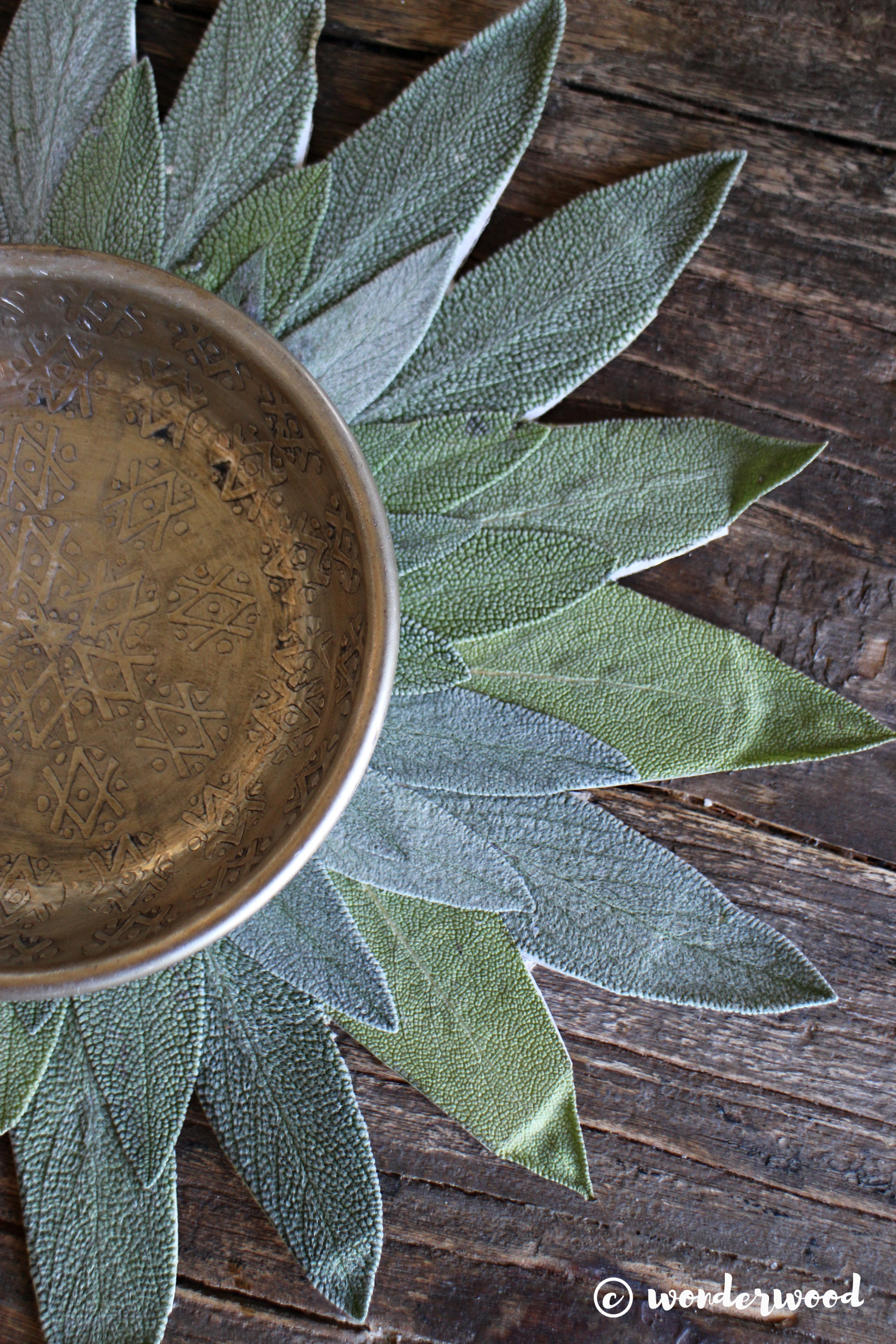 diy salvie mandala // diy sage mandala