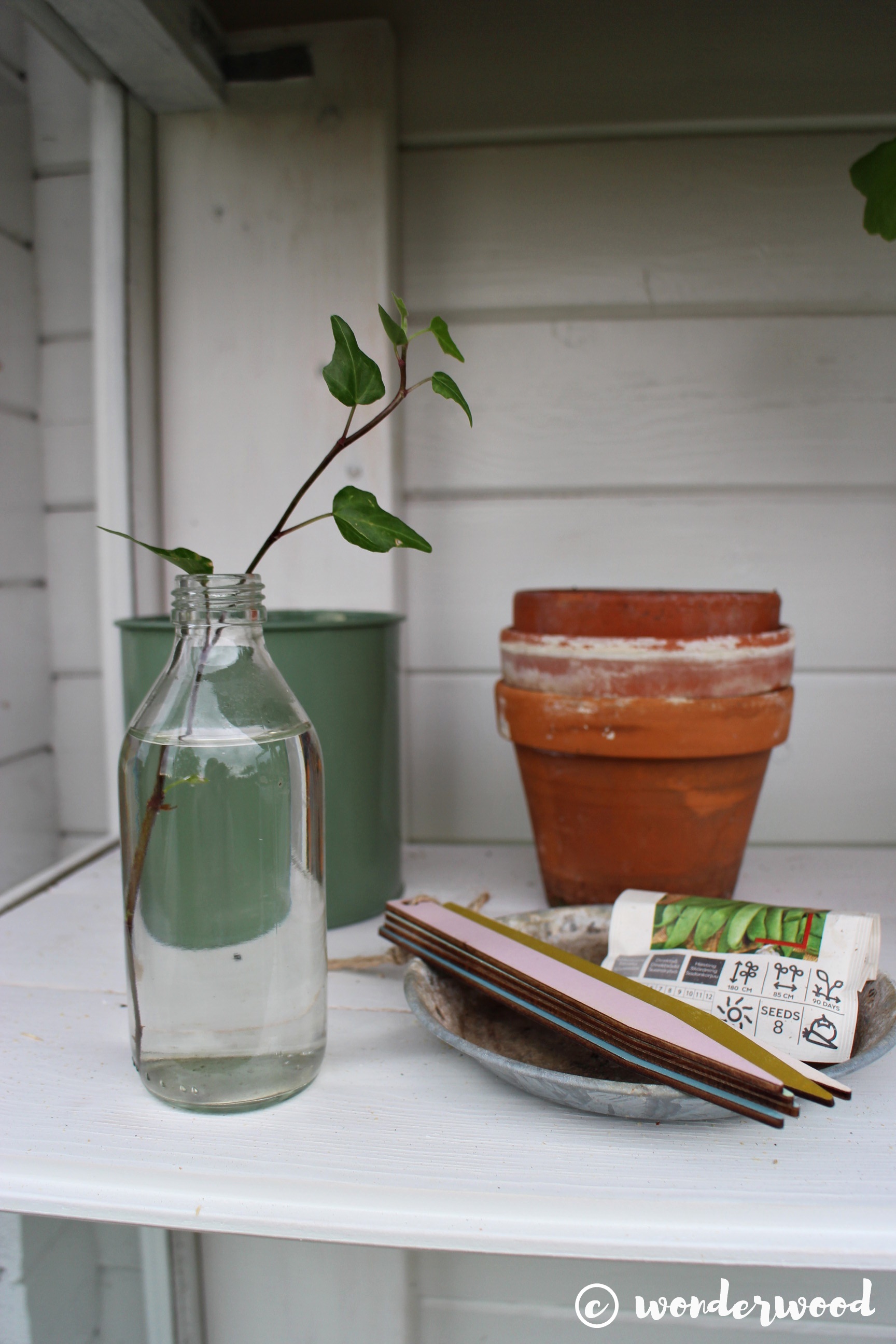 diy drivskap av gamle vinduer // diy mini greenery of old windows