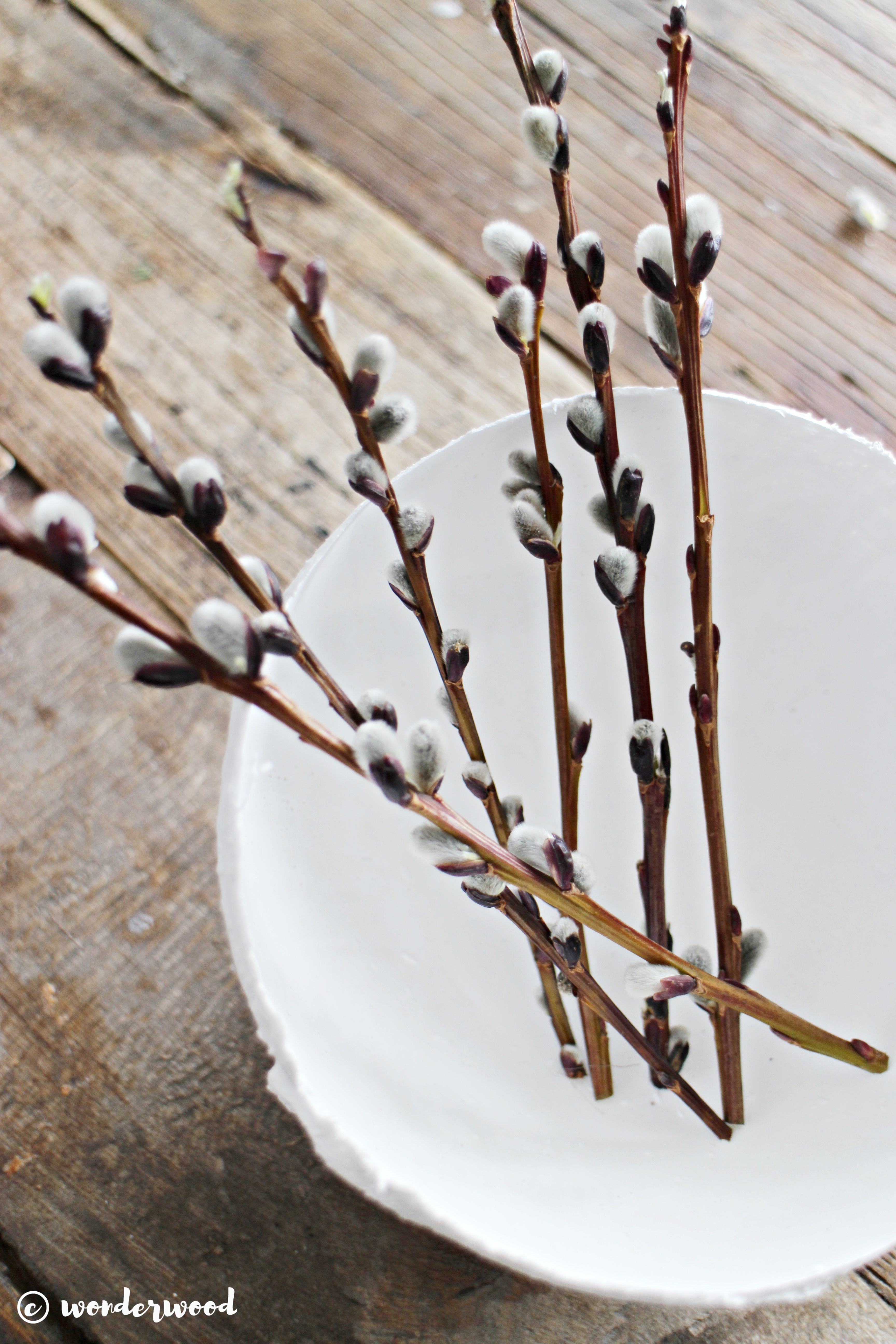 diy gips-egg // diy plaster egg bowls