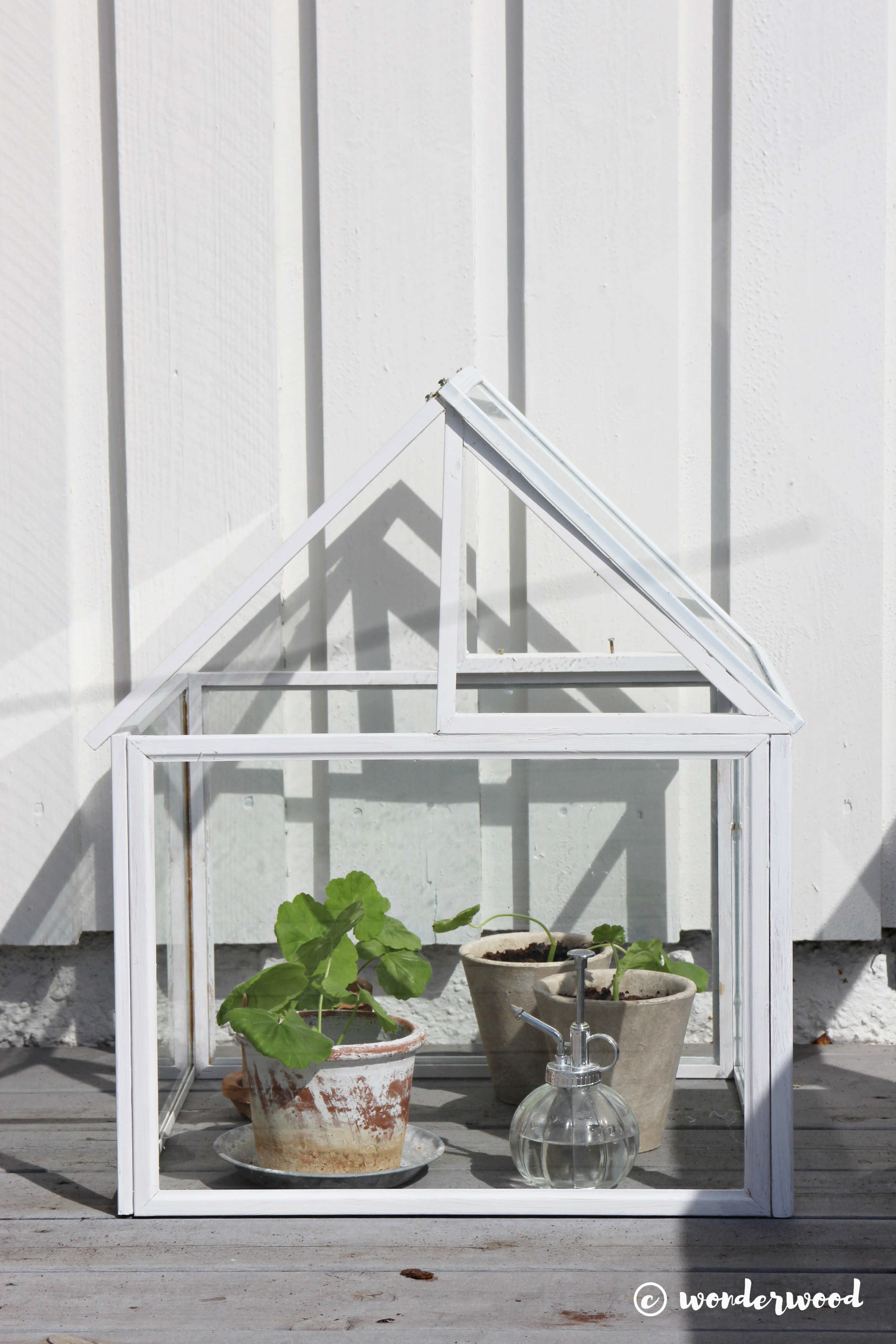 diy minidrivhus av bilderammer // diy photo frame greenhouse