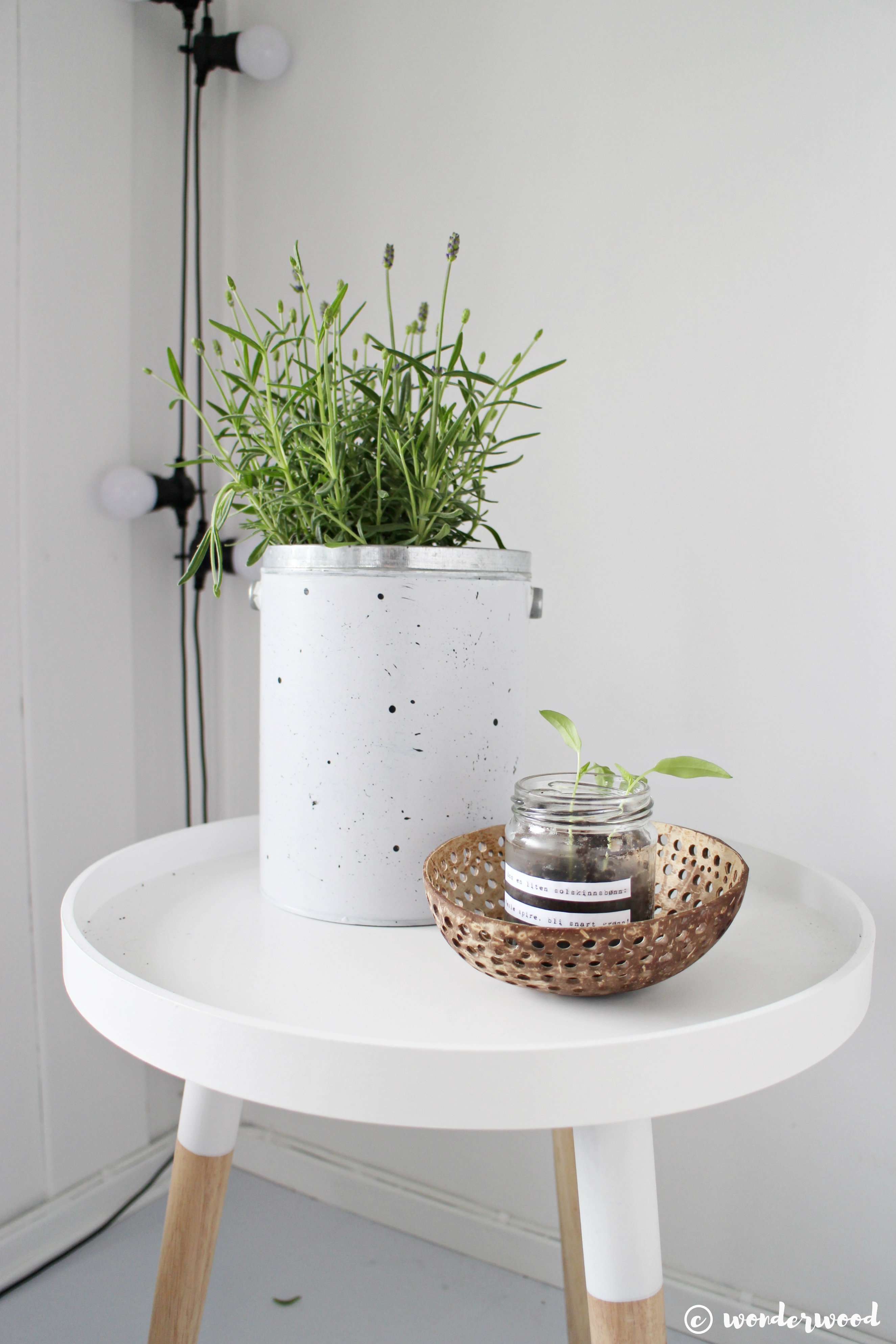 diy speckled pot