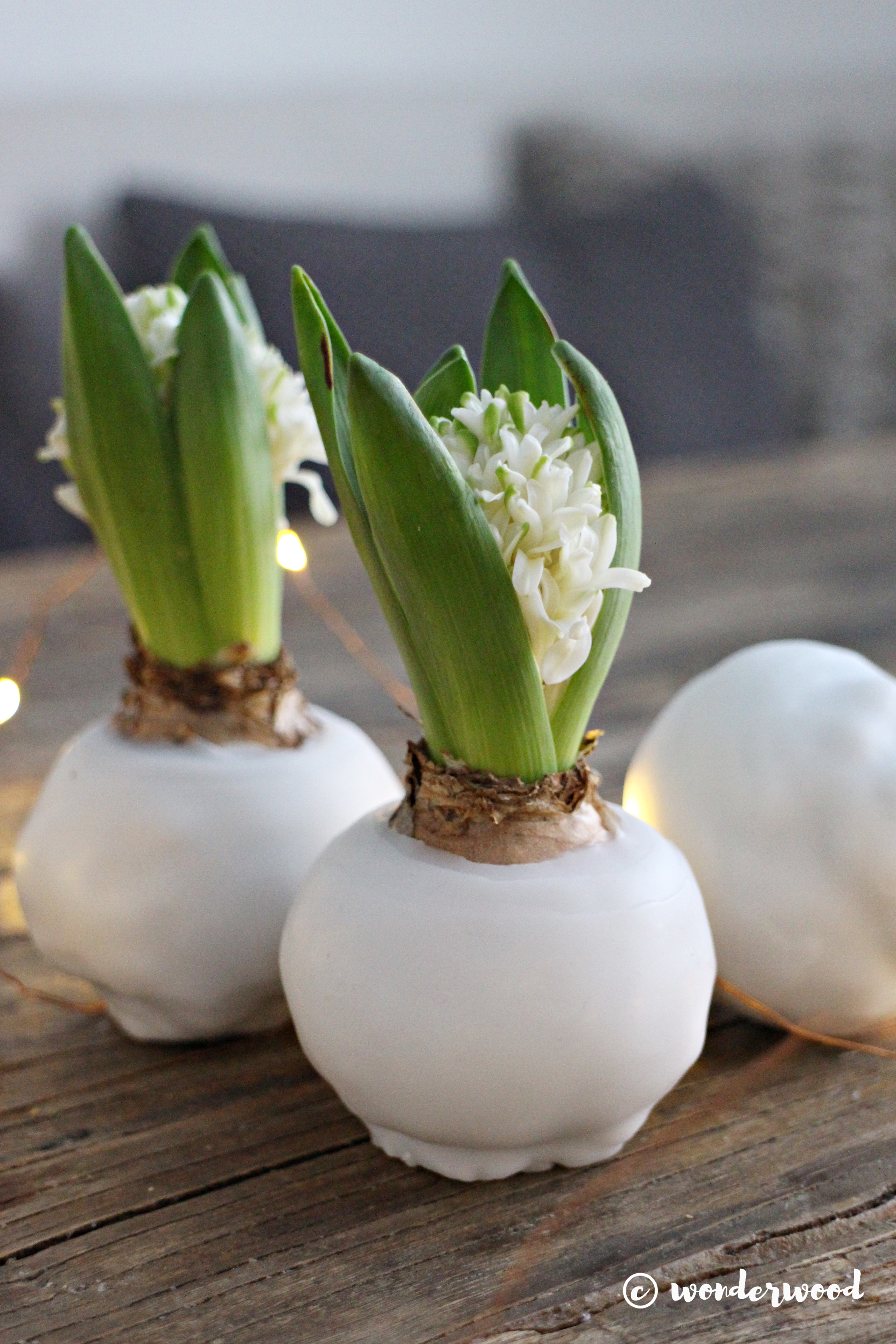 diy vokset svibel // diy waxed hyacinth