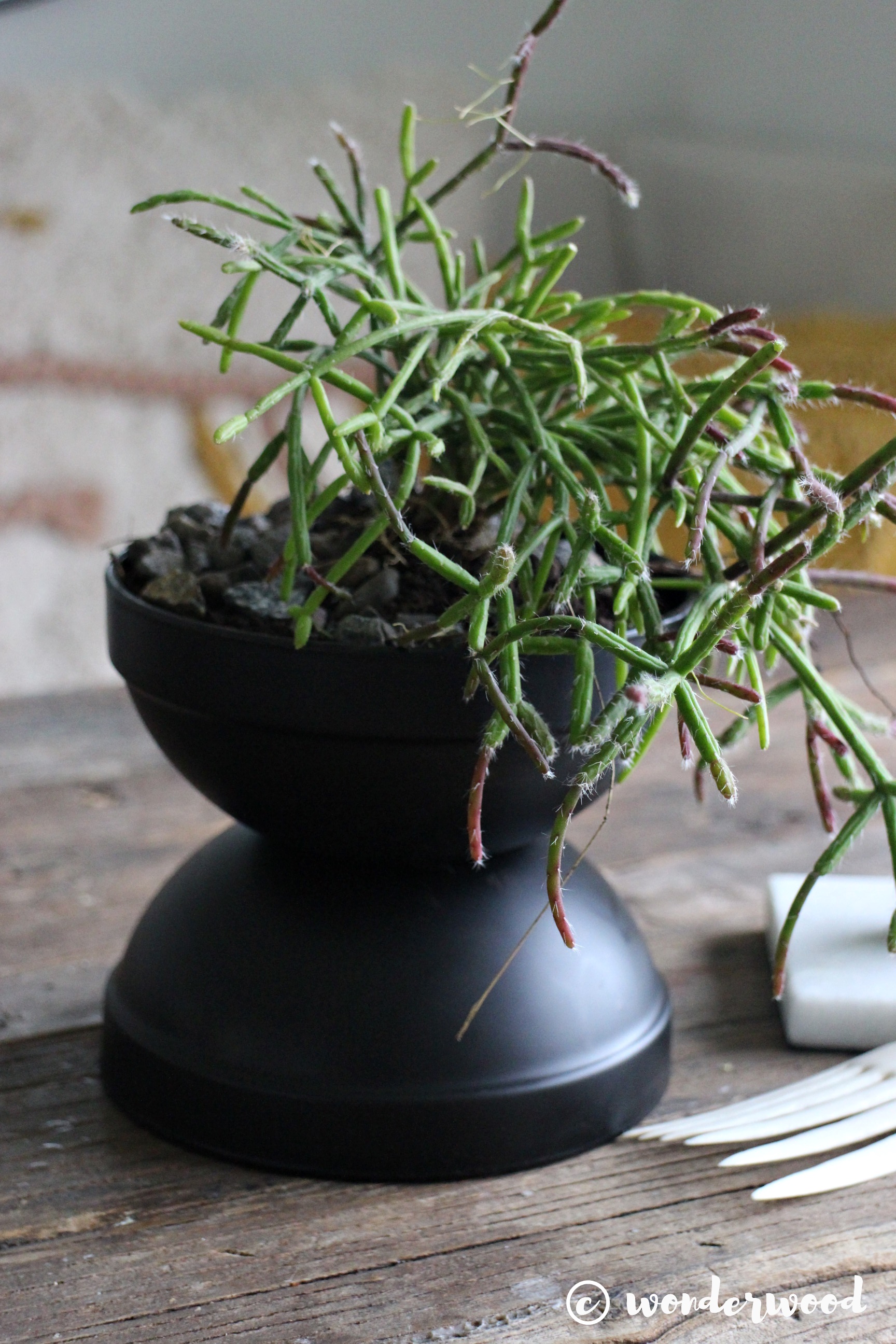 diy minimalistisk blomsterpotte // diy minimalist planter