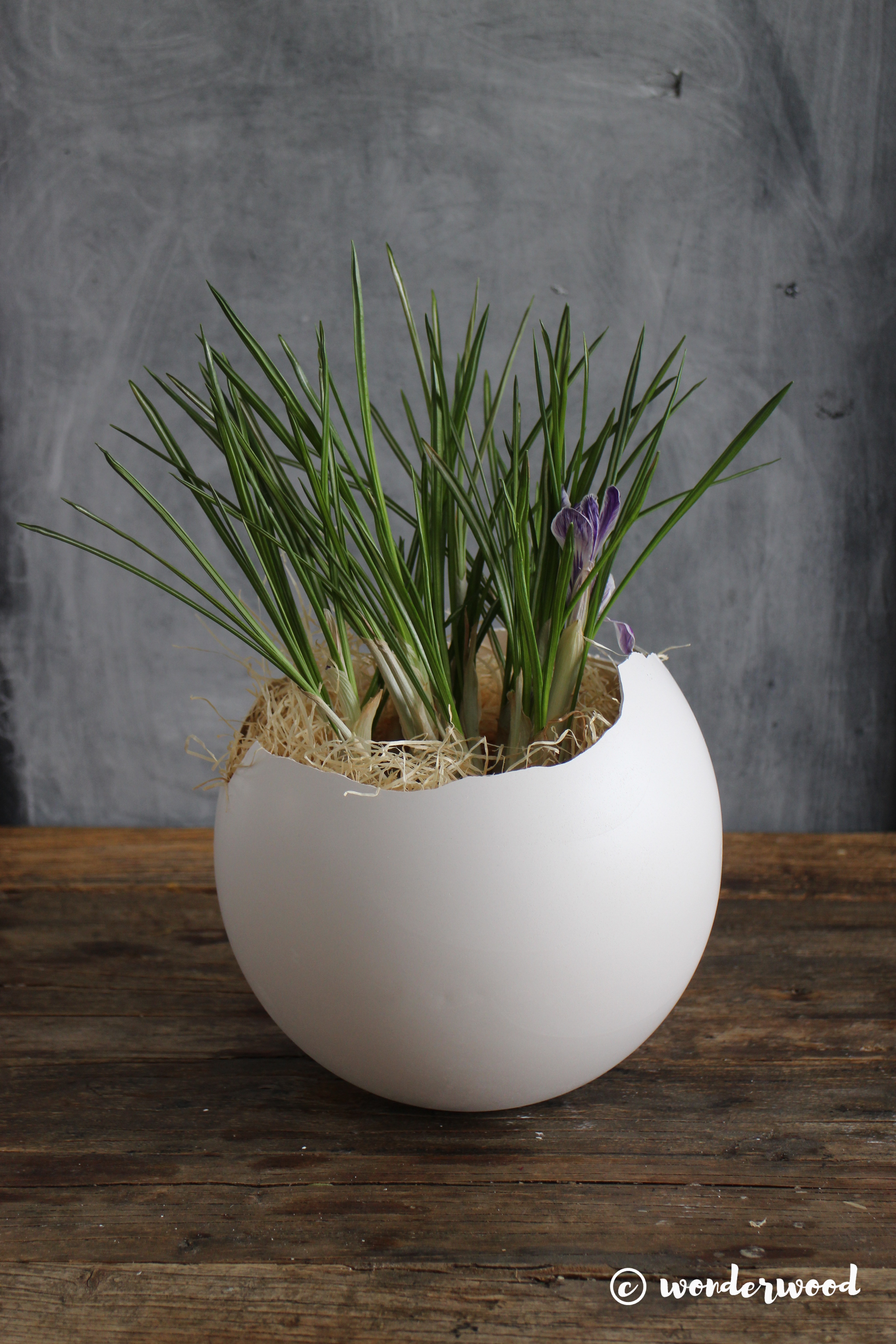 diy gipsegg // diy plaster eggs