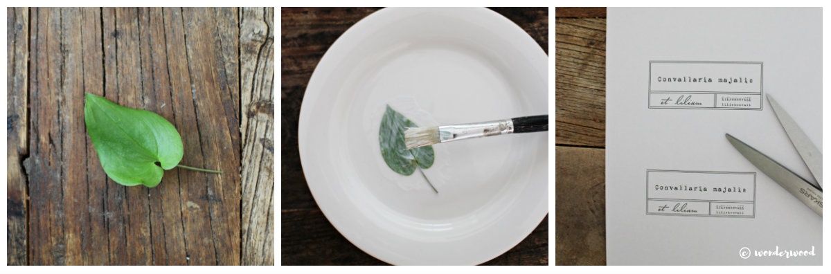 diy botaniske tallerkner // diy botanical plates