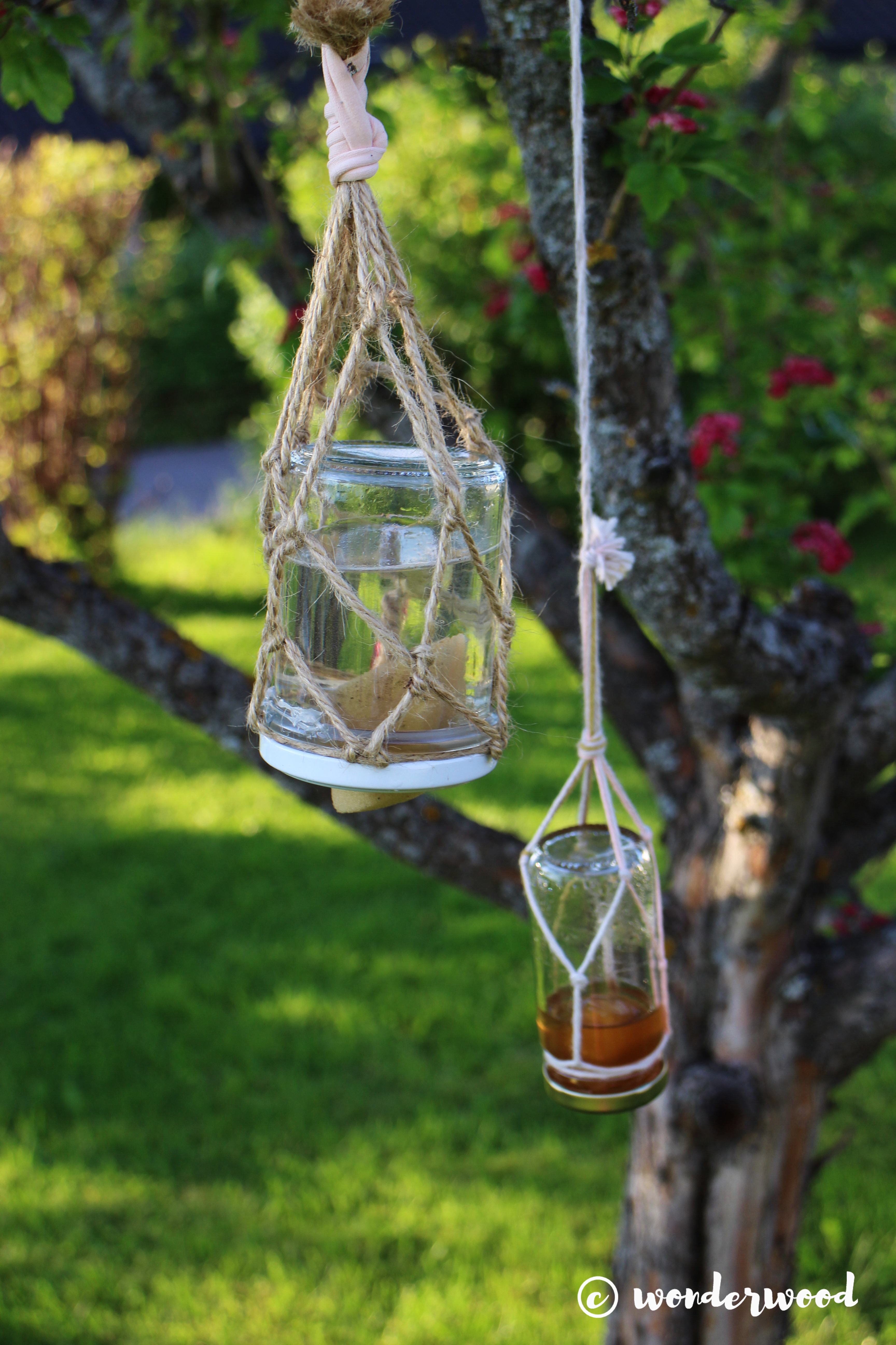 diy butterfly feeder // diy sommerfuglmater