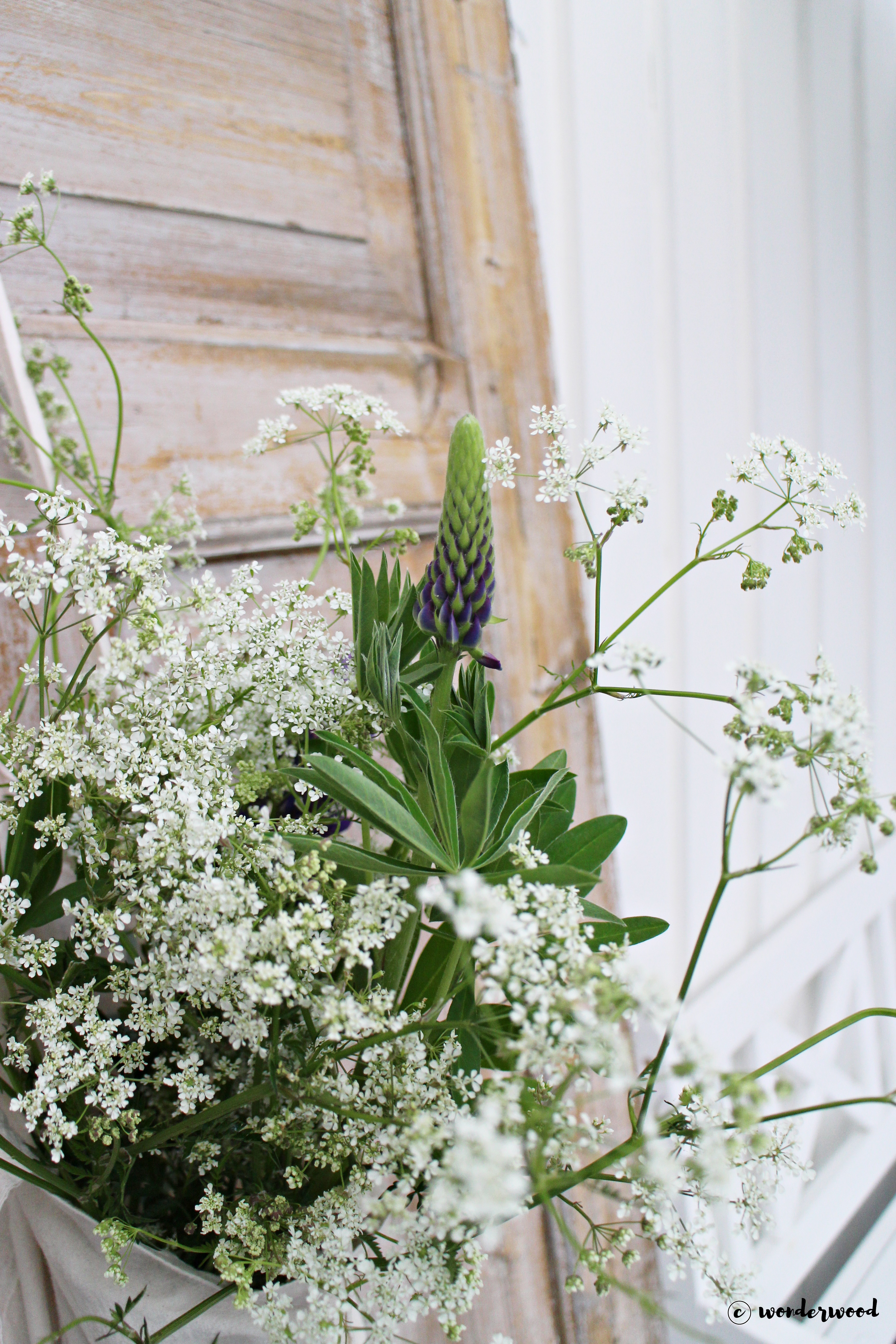diy hengende hage // diy hanging garden