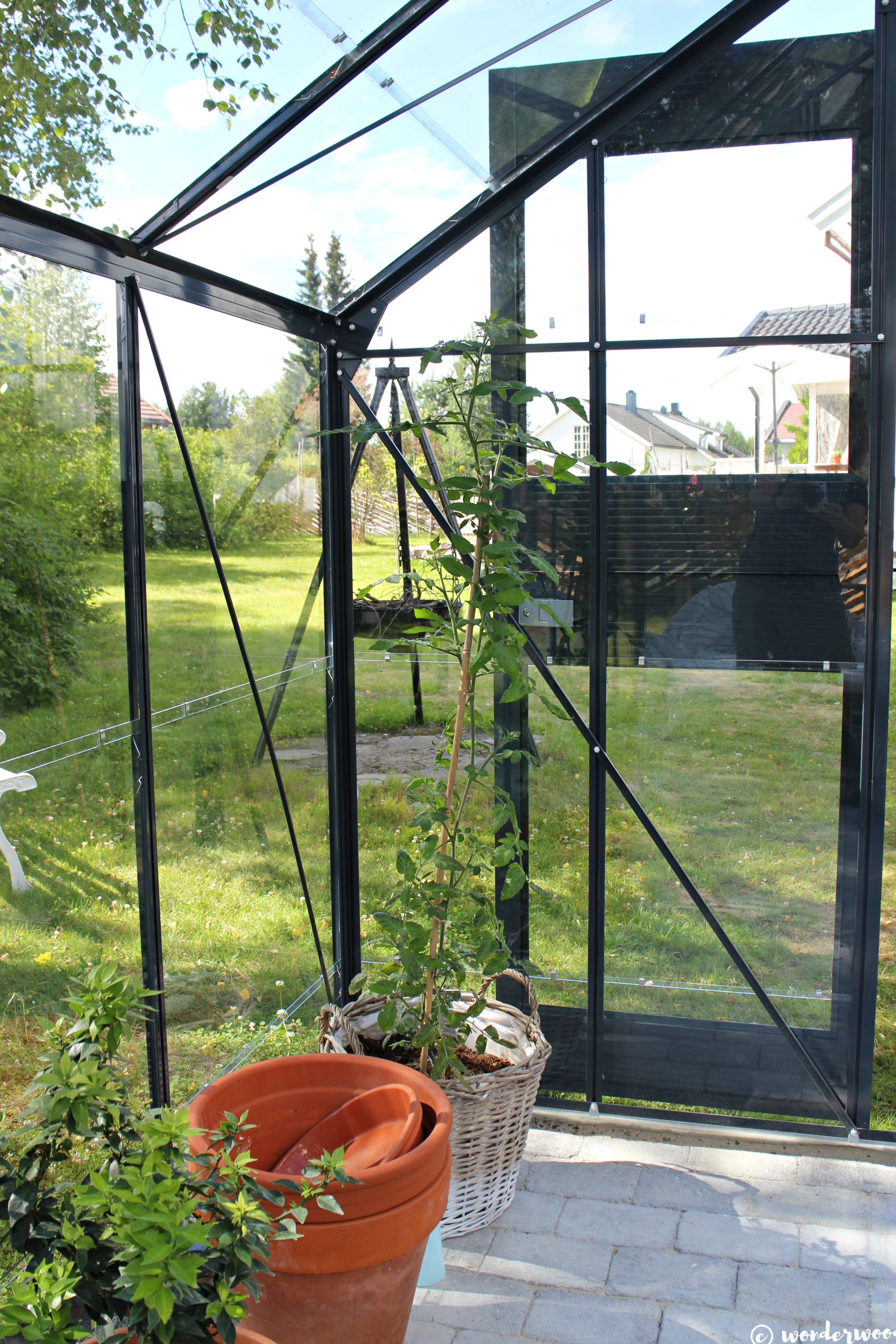 Drivhus // Greenhouse