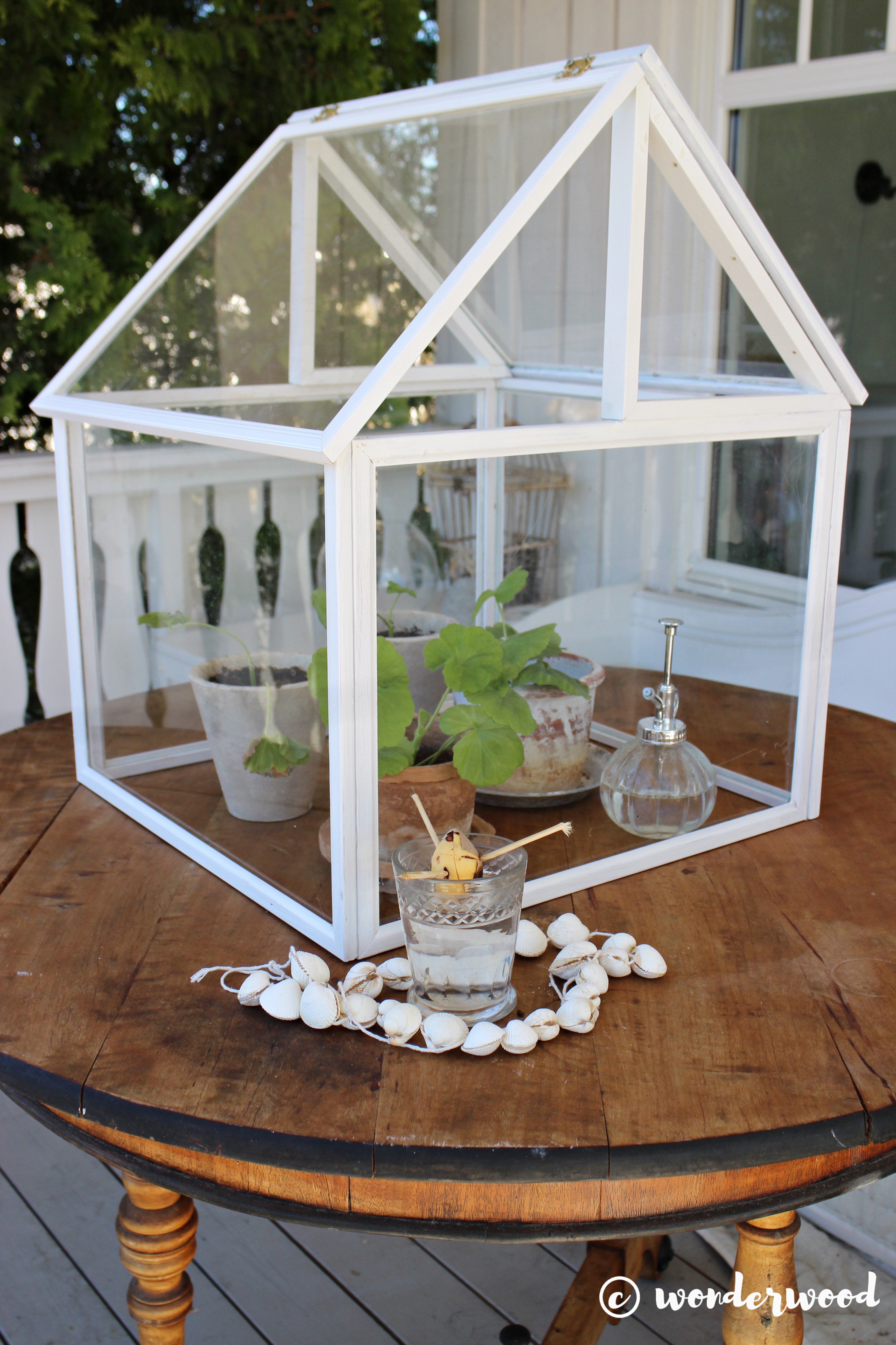 diy minidrivhus av bilderammer // diy photo frame greenhouse