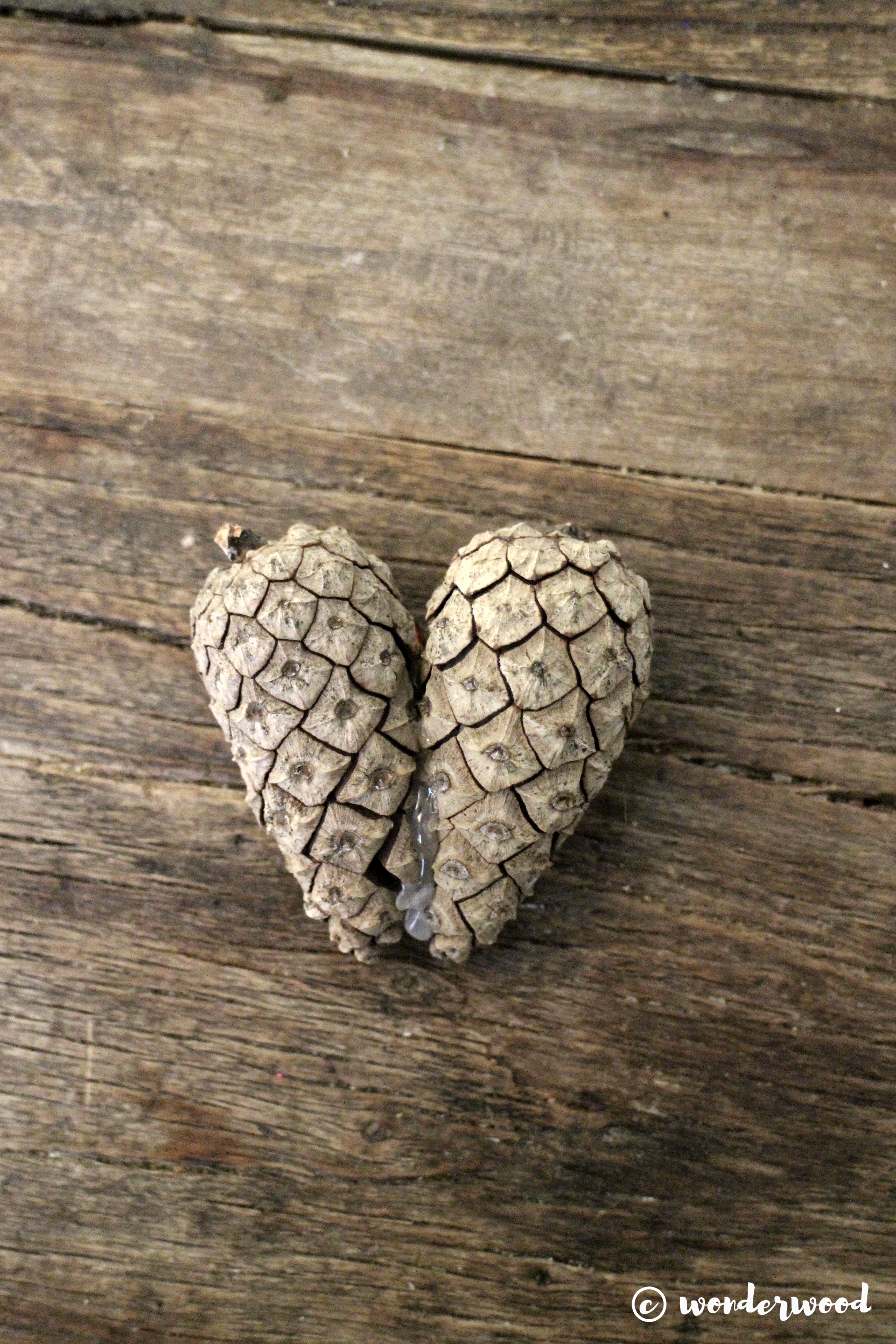 diy konglehjerter // diy pinecone hearts