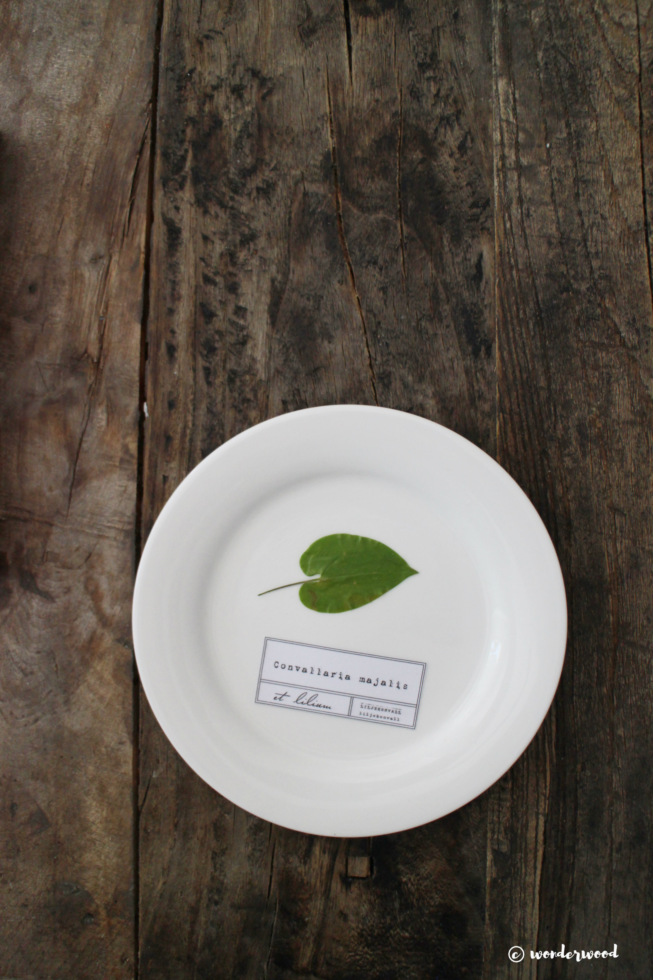 diy botaniske tallerkner // diy botanical plates