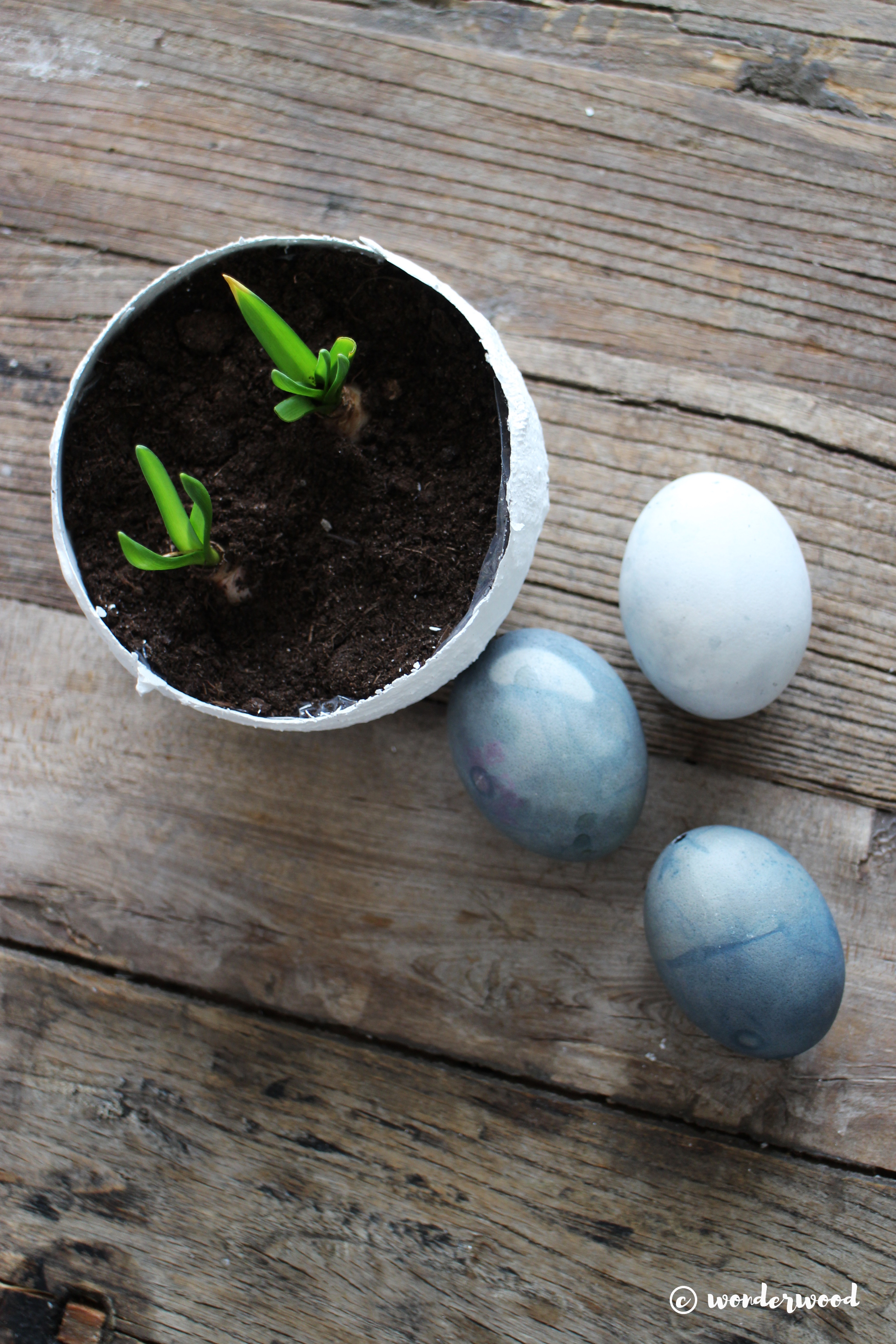 diy gips-egg // diy plaster egg bowls
