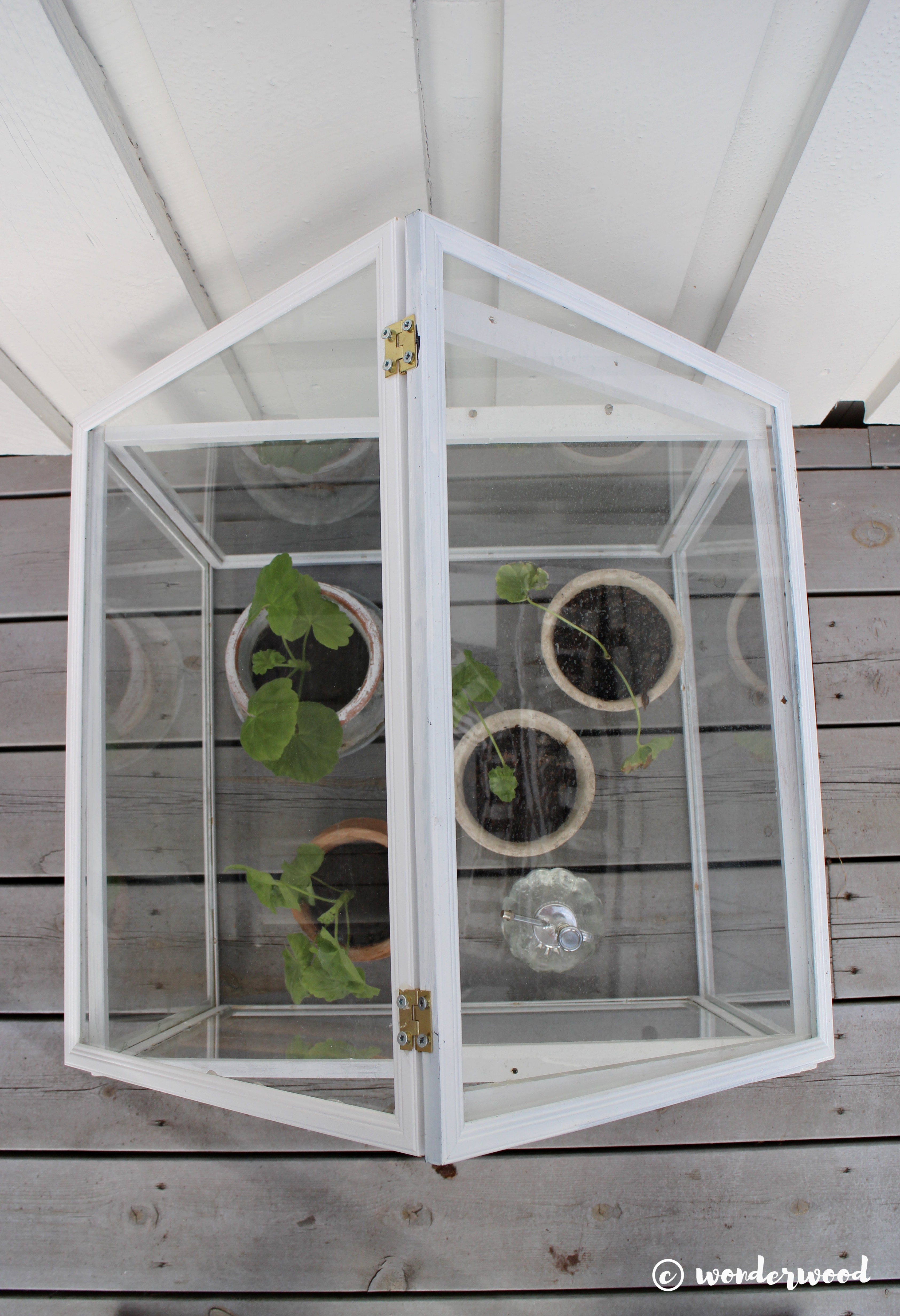 diy minidrivhus av bilderammer // diy photo frame greenhouse