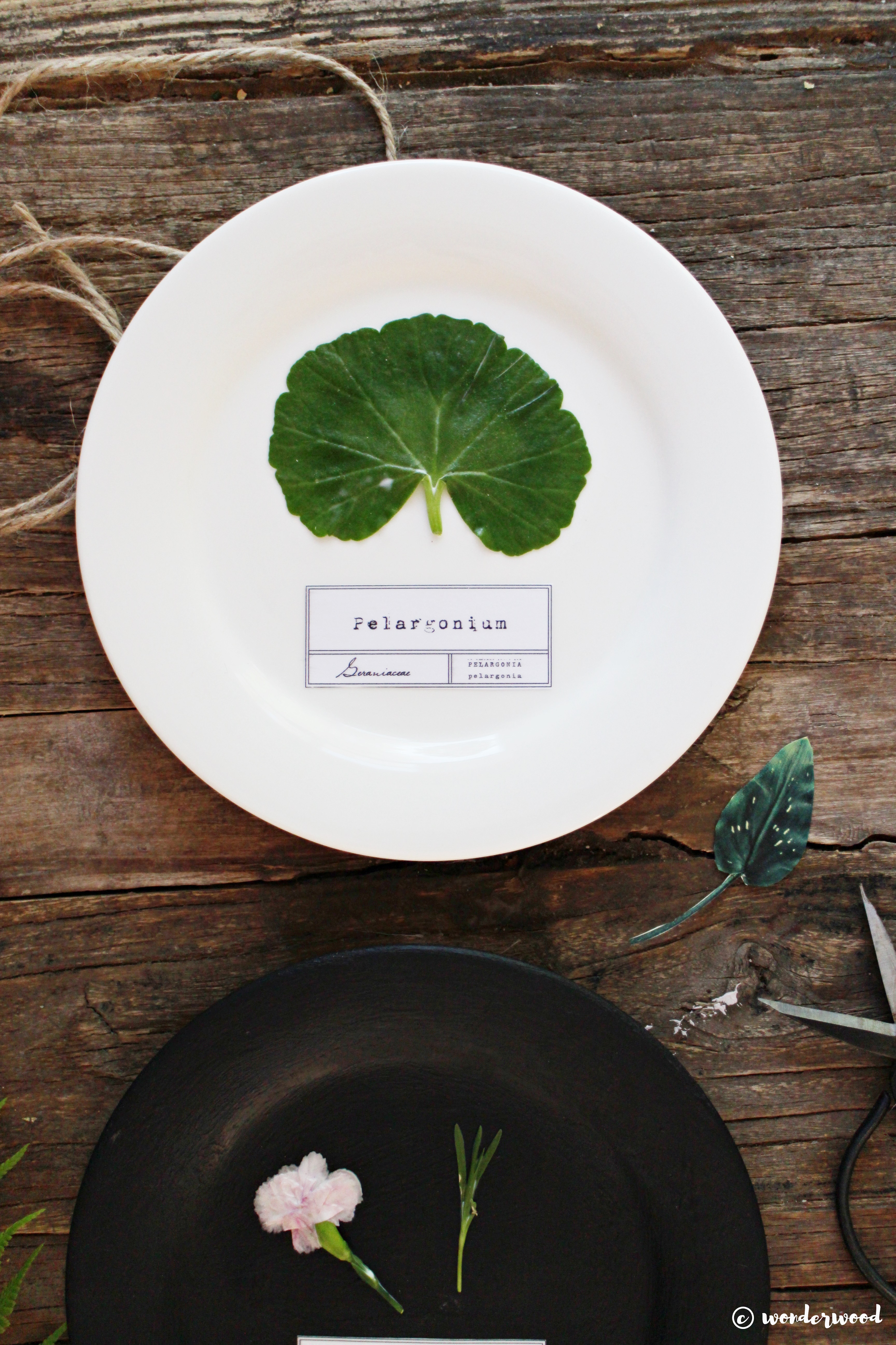 diy botaniske tallerkner // diy botanical plates