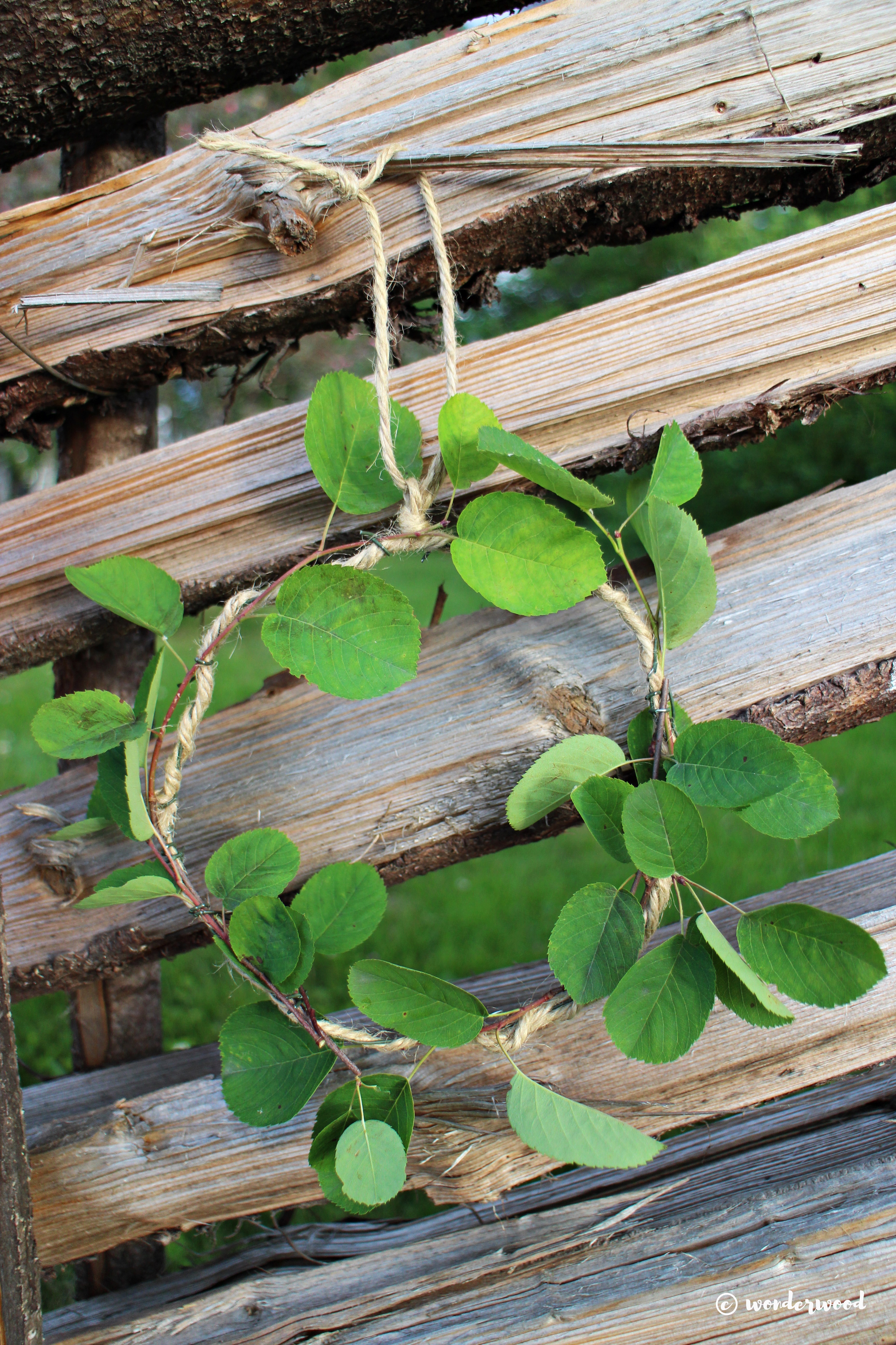 diy sommerkrans // diy summer wreath
