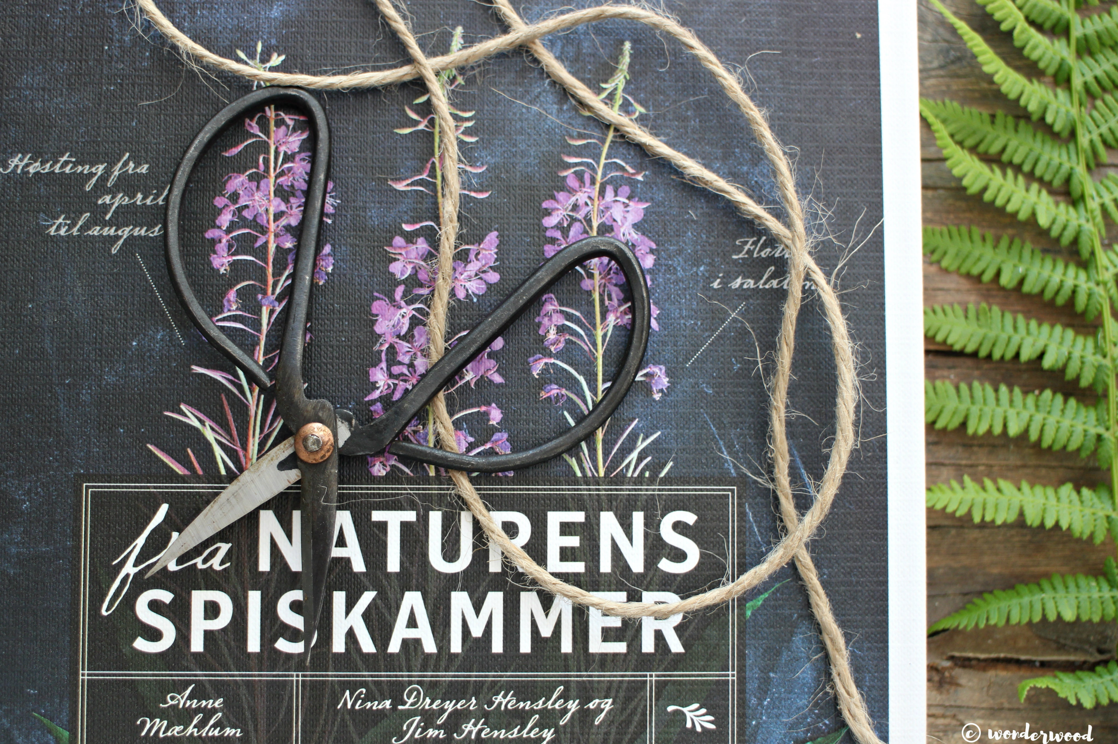 diy botaniske tallerkner // diy botanical plates