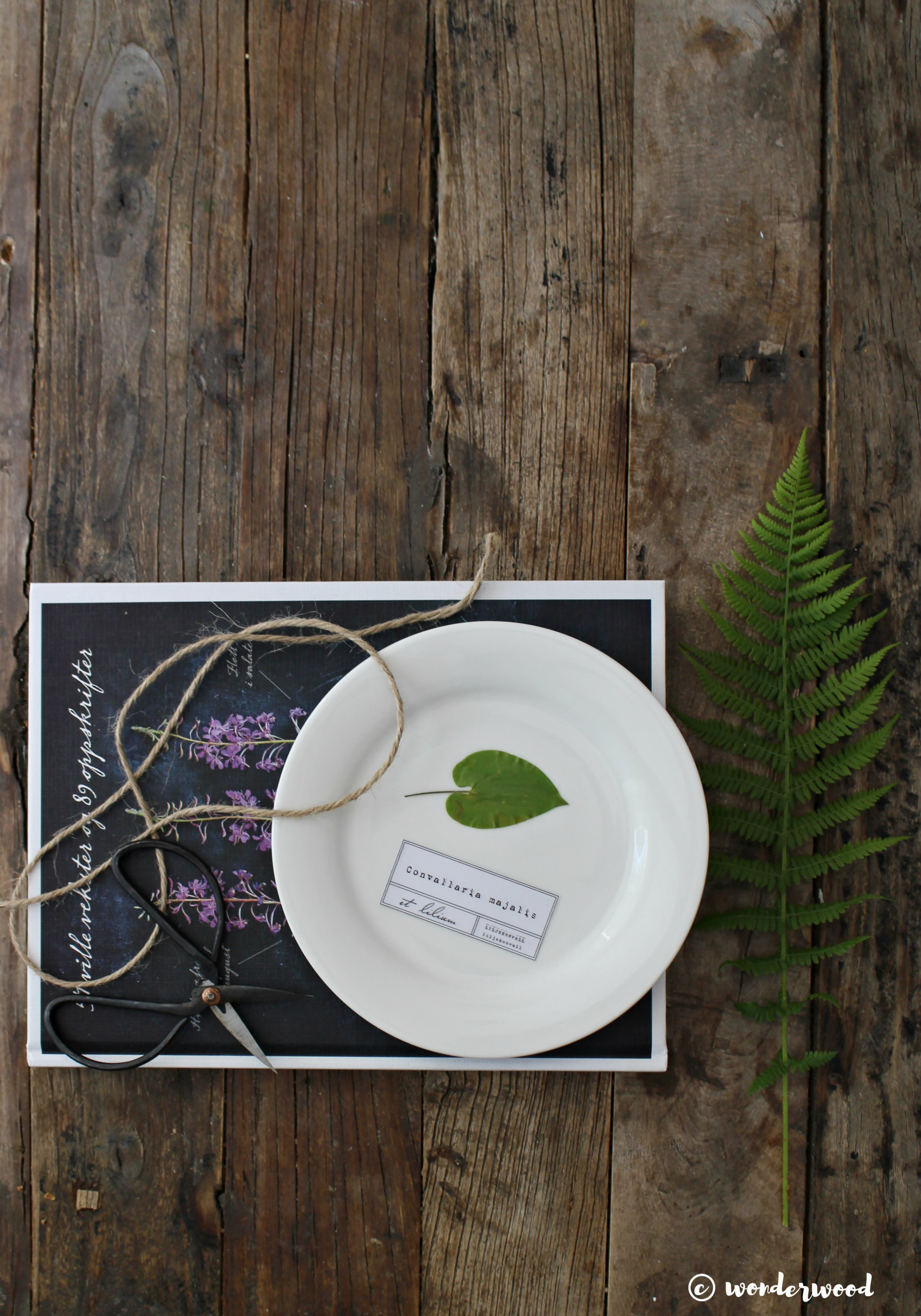 diy botaniske tallerkner // diy botanical plates