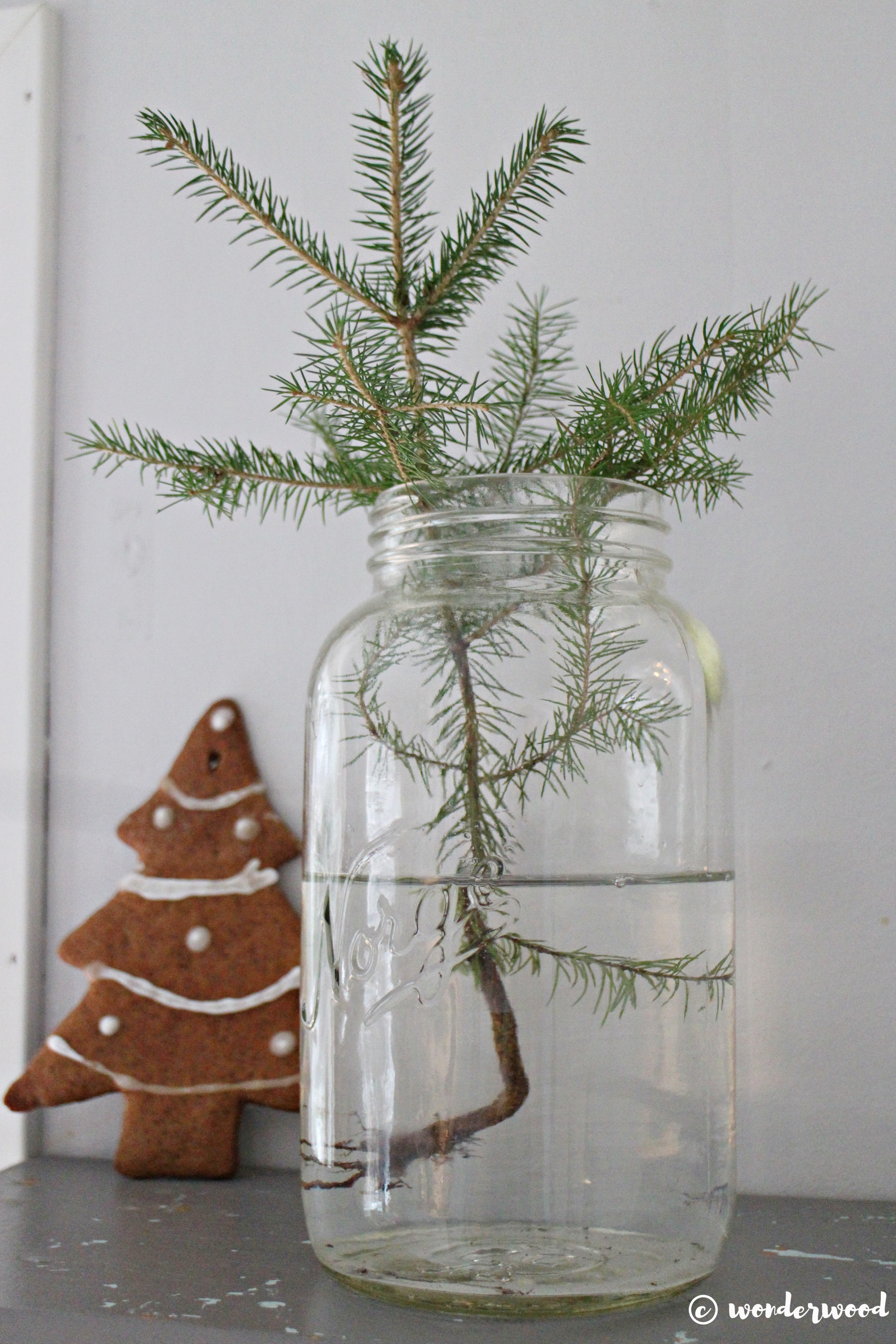 Romjul // Christmas