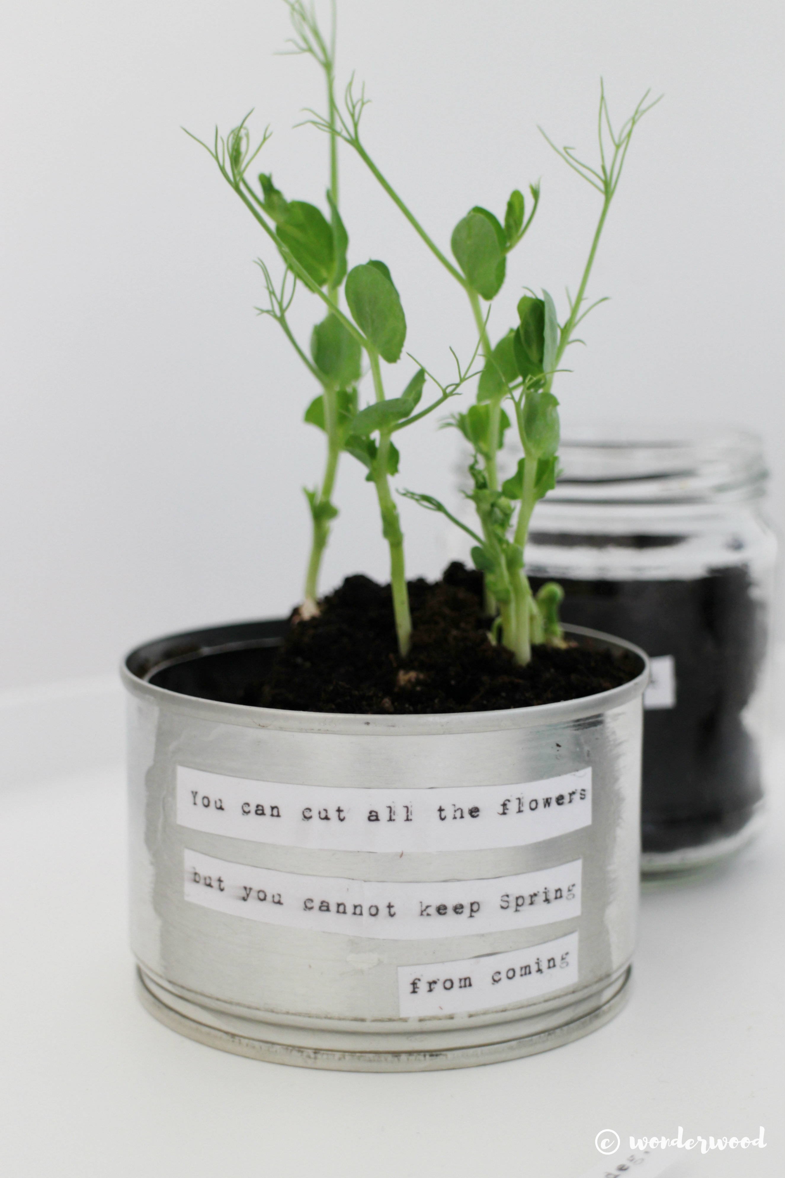 diy: 3 måter å gjenbruke glass og metall til stilige urtepotter // 3 ways to upcycle jars and cans to chic herb planters