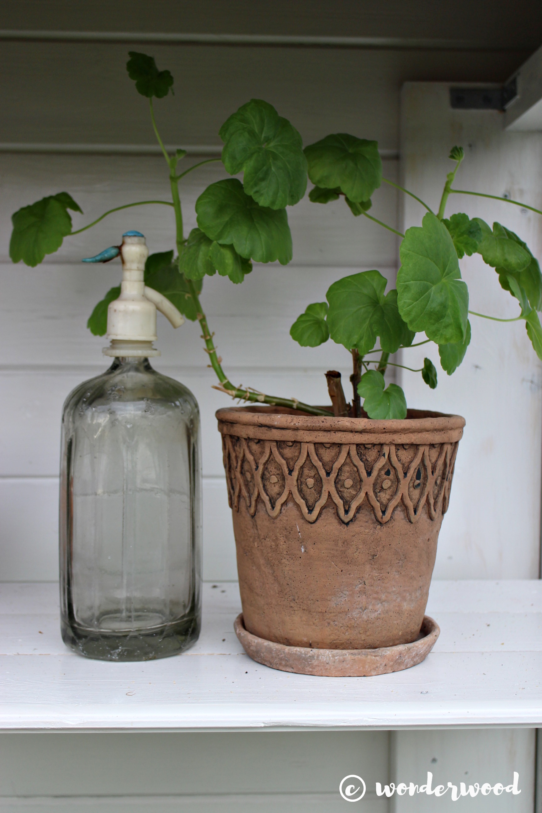 diy drivskap av gamle vinduer // diy mini greenery of old windows