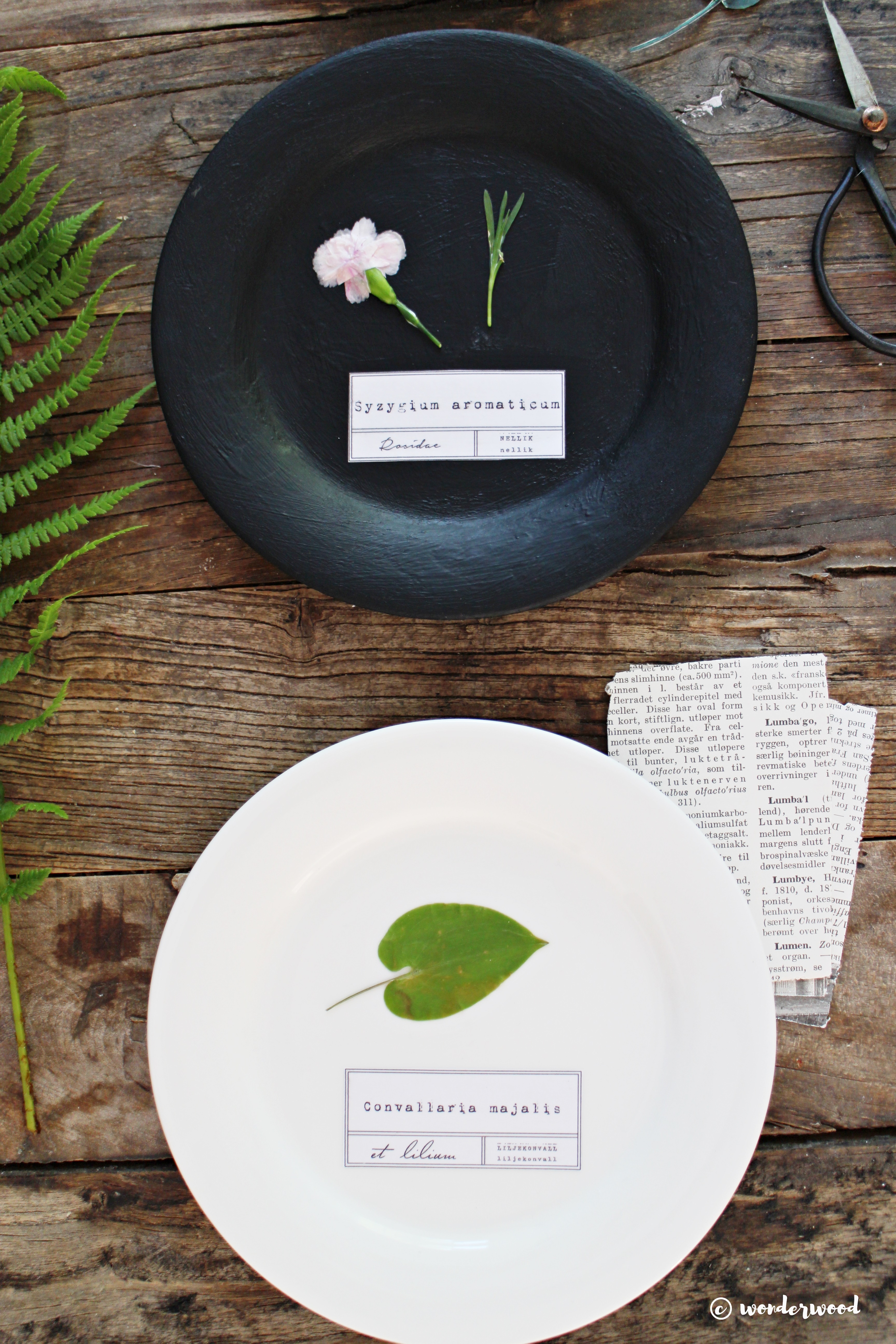 diy botaniske tallerkner // diy botanical plates