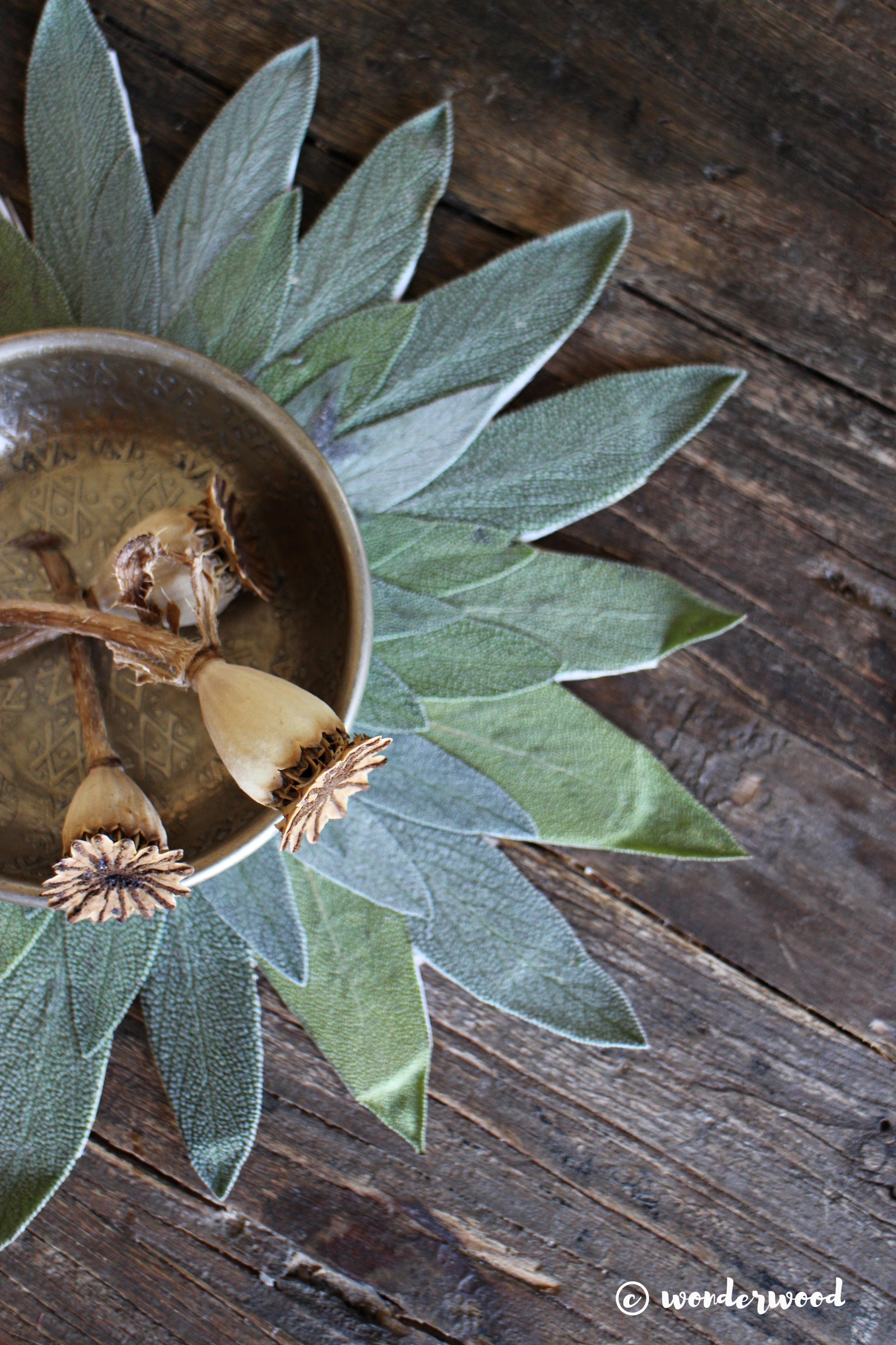 diy salvie mandala // diy sage mandala