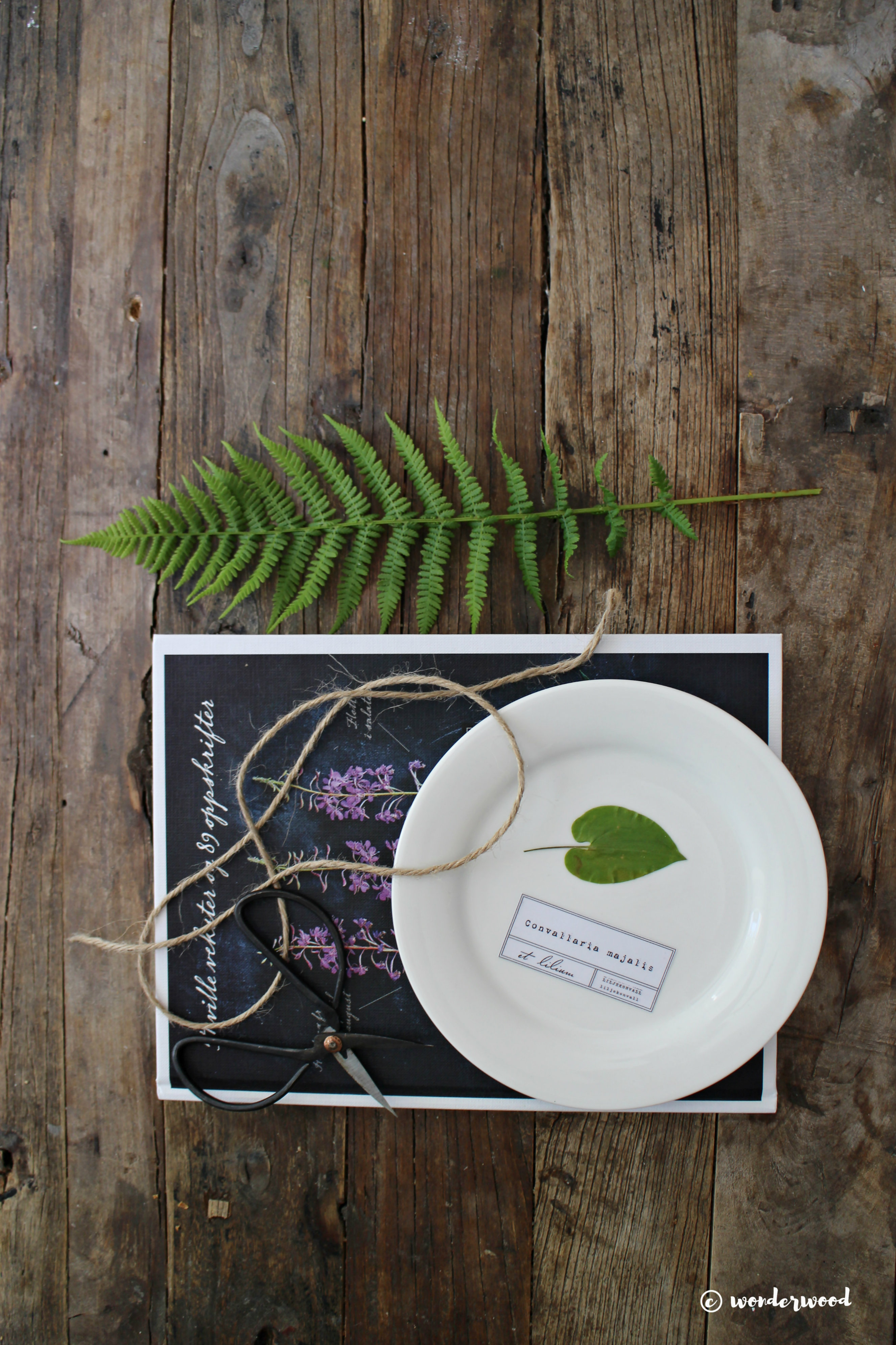 diy botaniske tallerkner // diy botanical plates