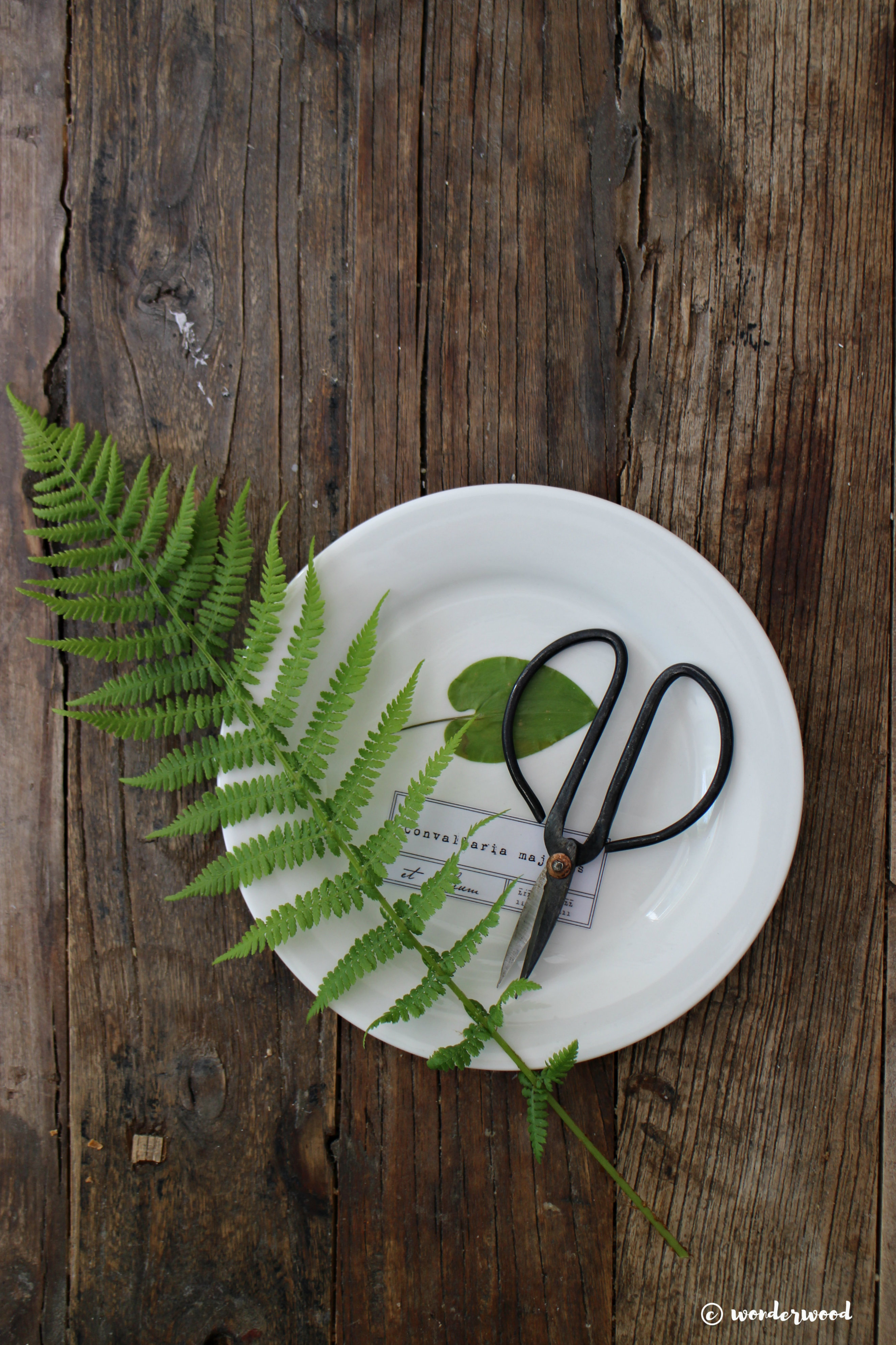 diy botaniske tallerkner // diy botanical plates