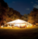 Wedding Planner