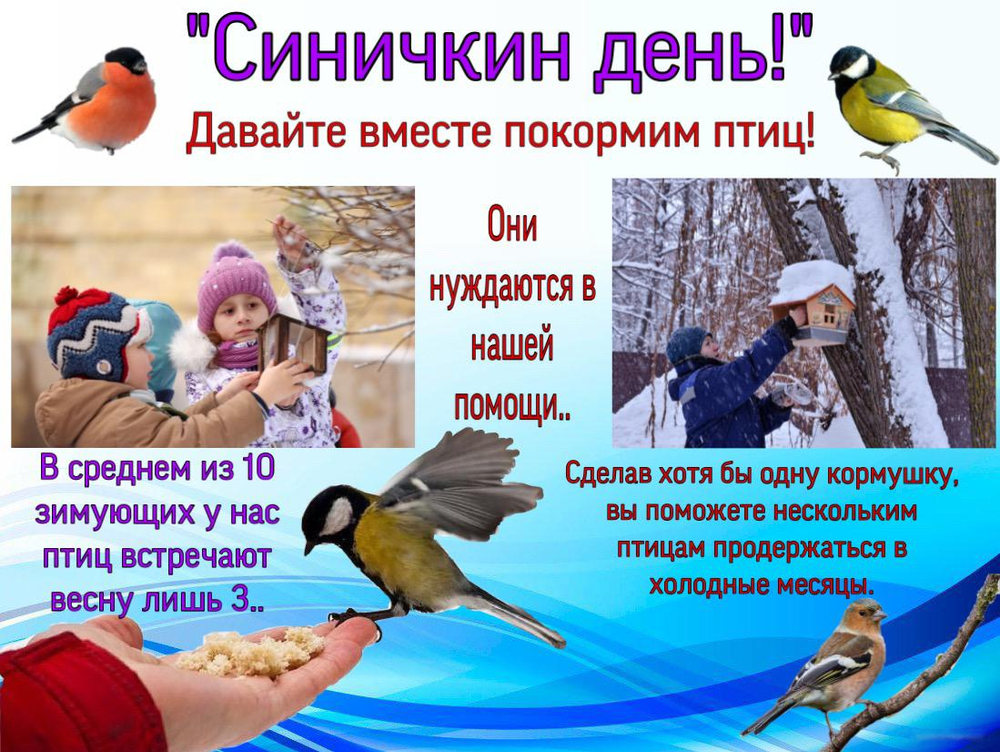 Поздравление С Синичкиным Днем Картинки