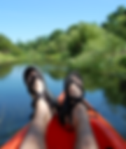 kayak, kayak tours,kayak sarasota, kayaking saraosta, kayaking tours, mangrove tunnels