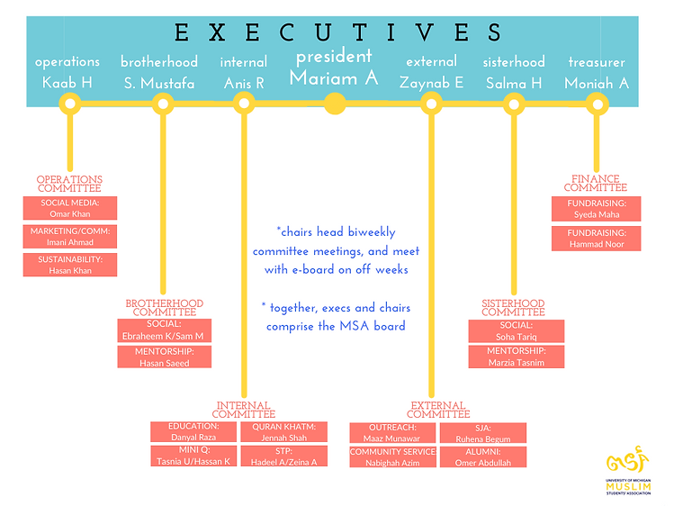 Copy of board structure (4).png