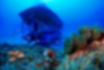 Hochzeit in der Submarine