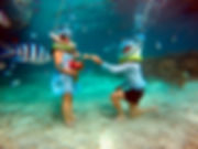 Unterwasser-Hochzeit Mauritius