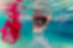 Underwater Wedding Mauritius
